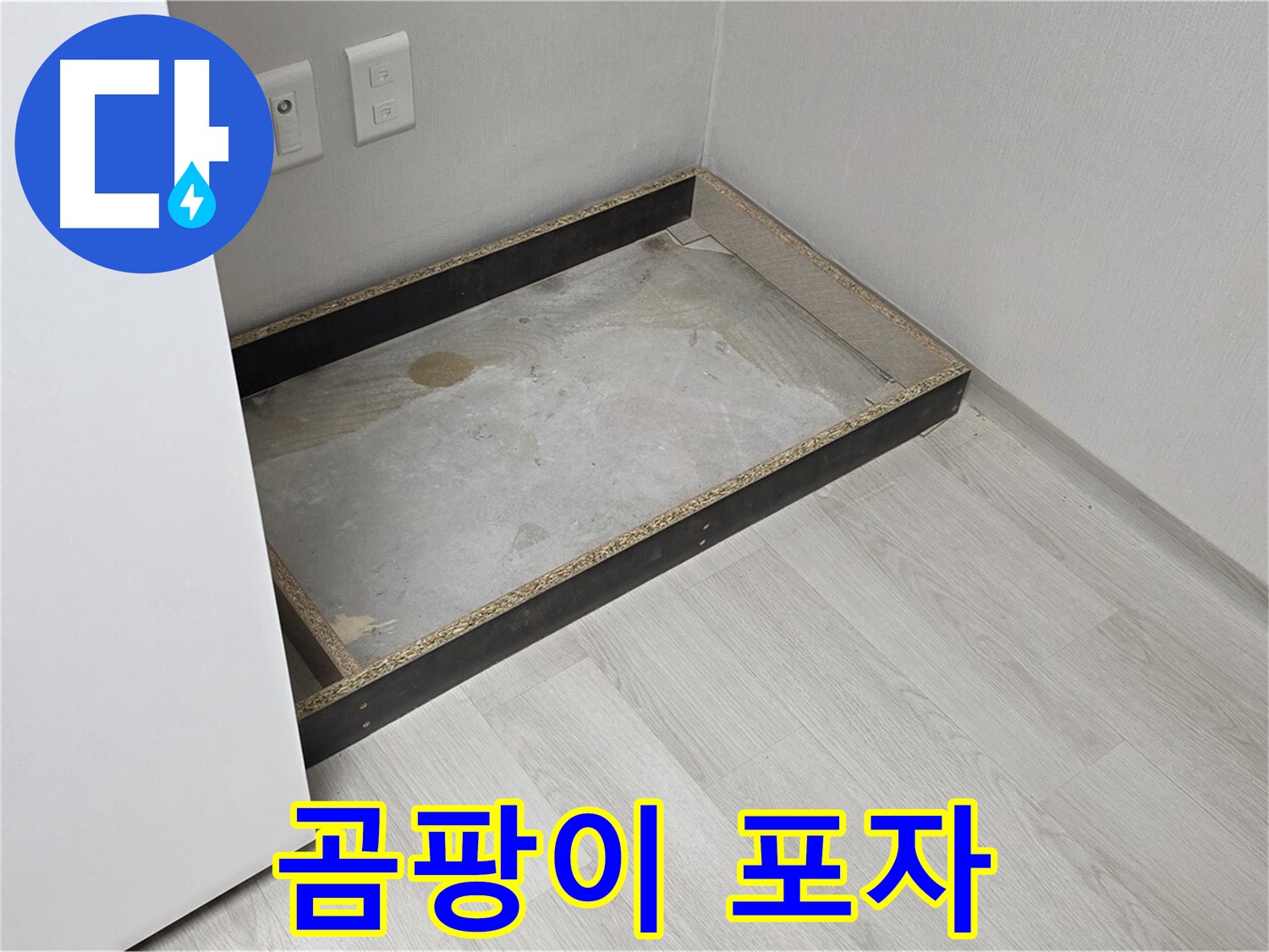 곰팡이 포자 - 공기 중 확산