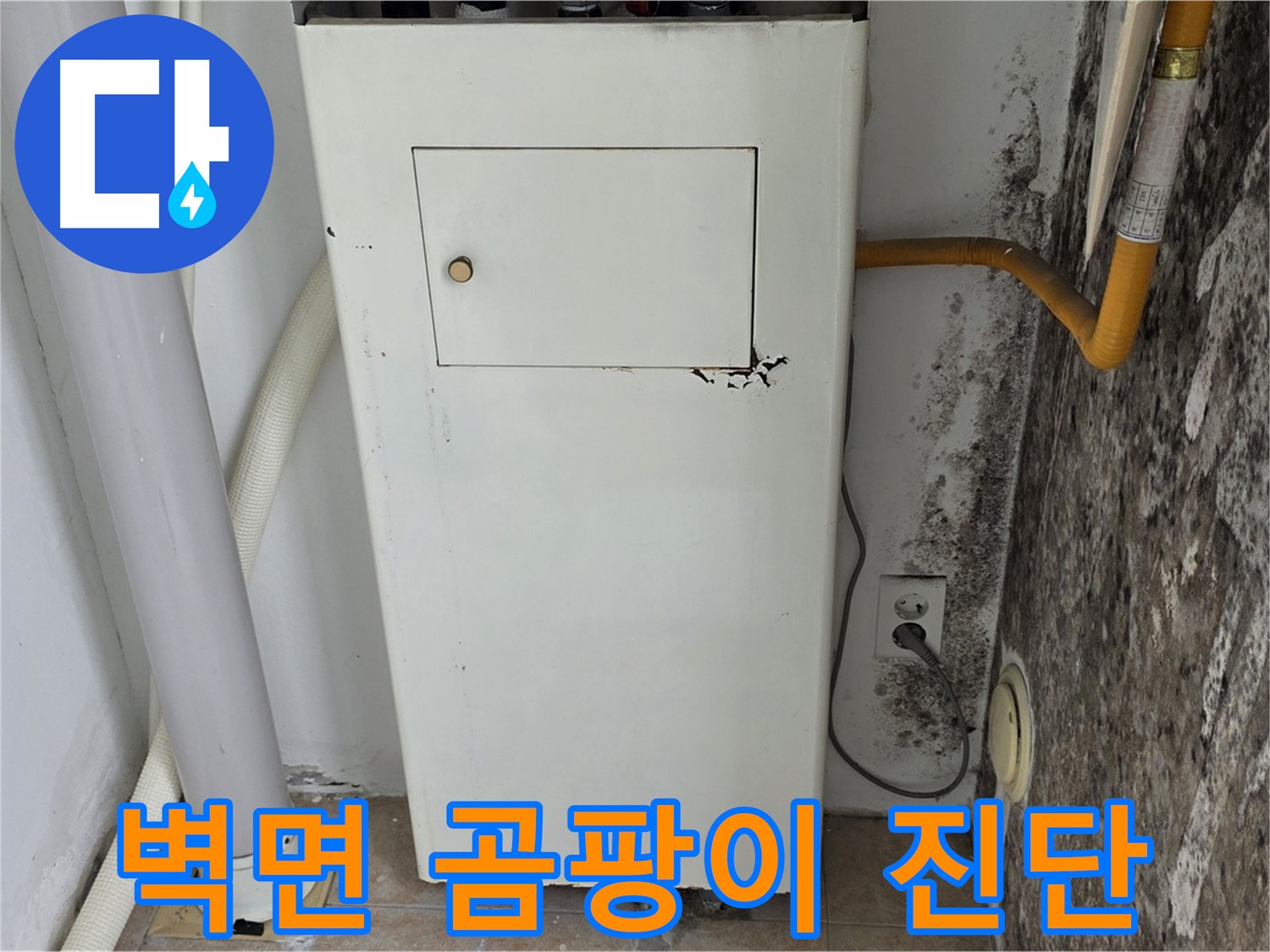 길음동 숭인로 - 곰팡이 핀 벽면 긴급 진단 - 누수 전문가의 상세 점검