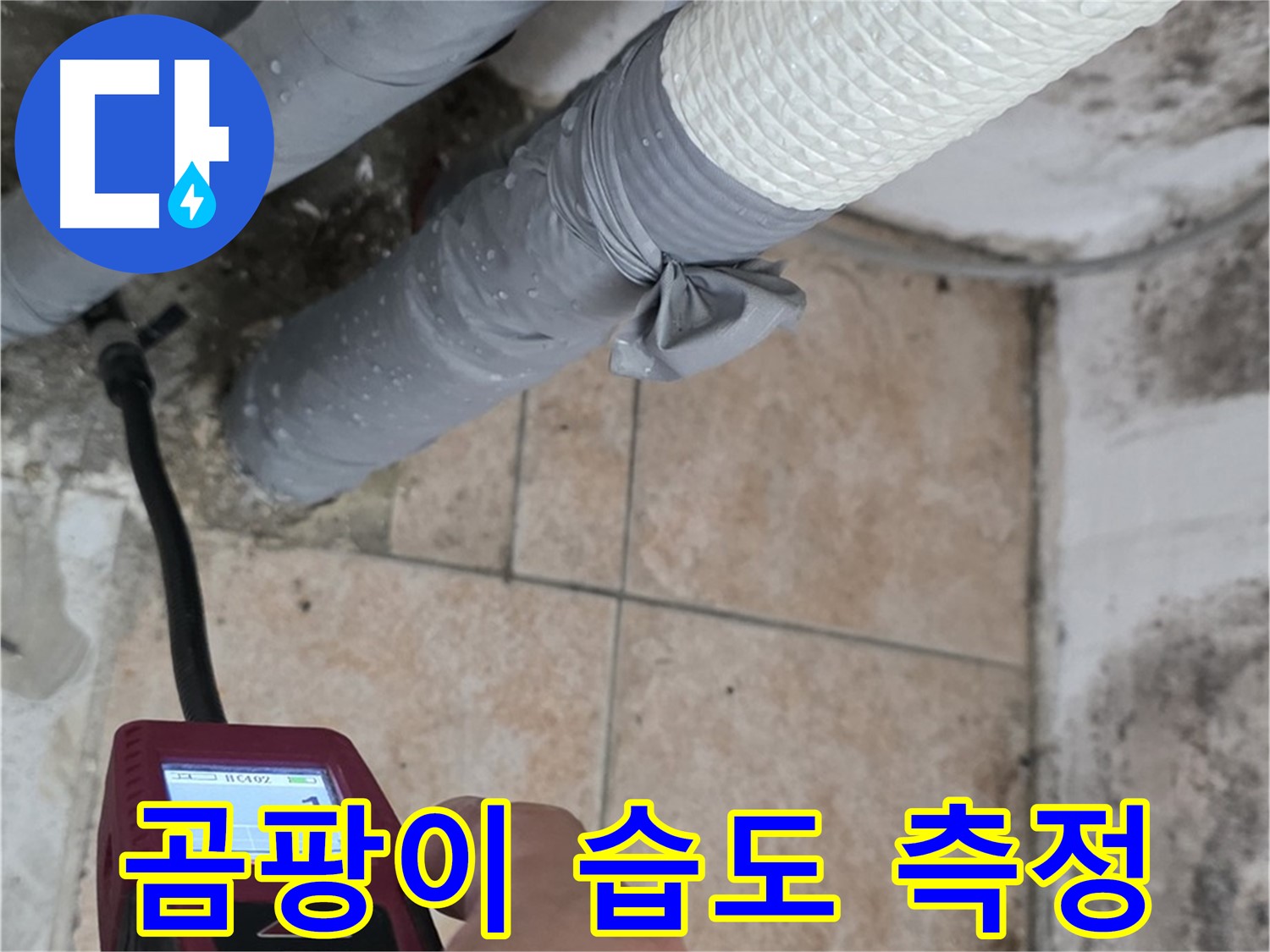길음동 숭인로 누수 현장에서 곰팡이가 핀 벽의 습도를 측정하여 누수 원인을 진단하고 있습니다 - 정확한 진단이 곰팡이 문제 해결의 첫걸음입니다.