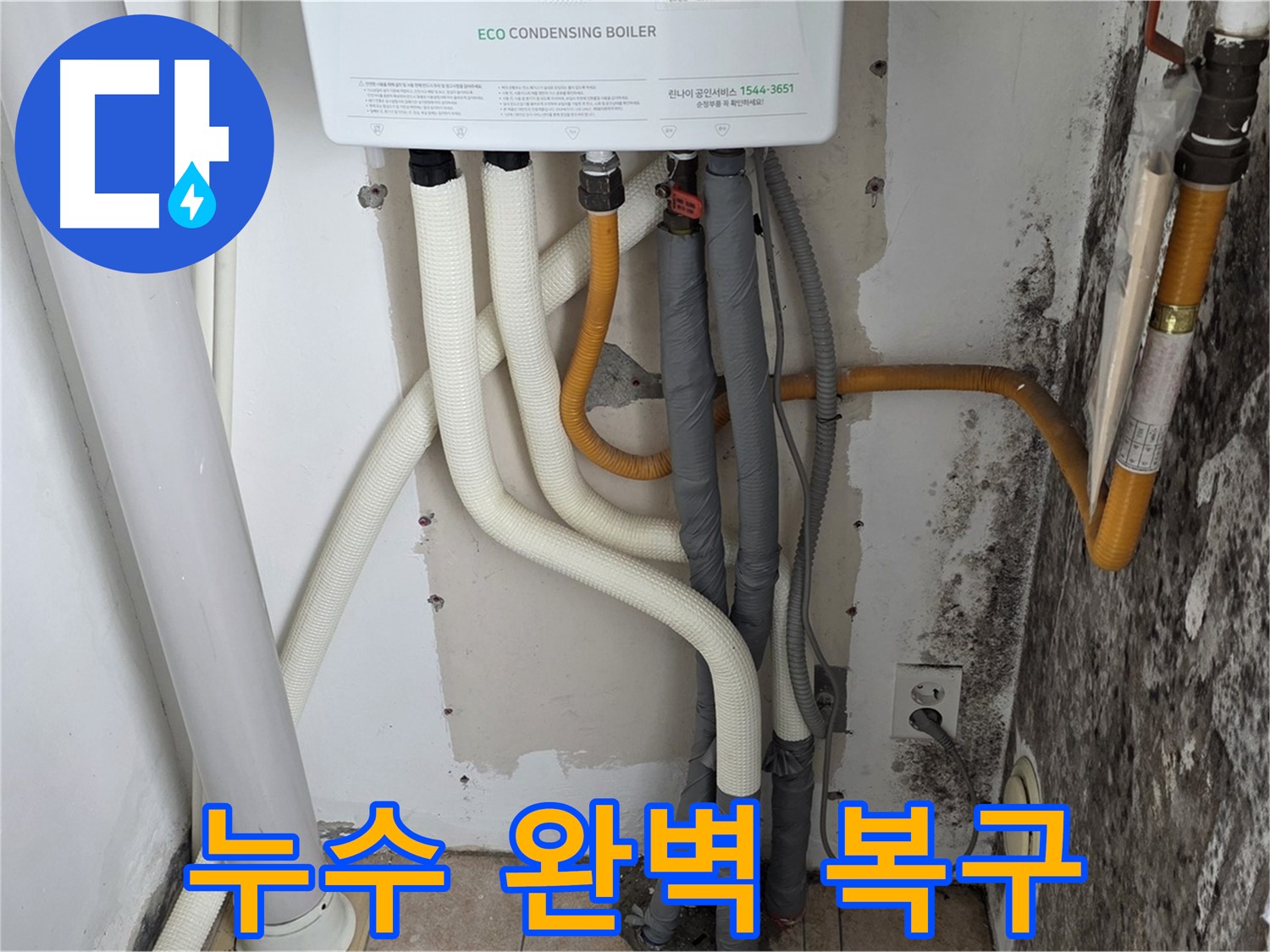 길음동 아파트 누수 공사 - 곰팡이 벽, 보일러 연결부 누수 완벽 복구 완료