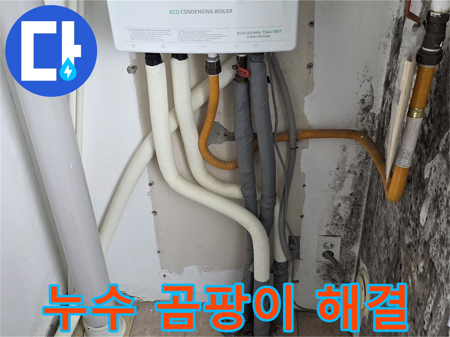 길음동 아파트 누수 문제 해결 - 보일러 배관 누수와 곰팡이 제거 작업