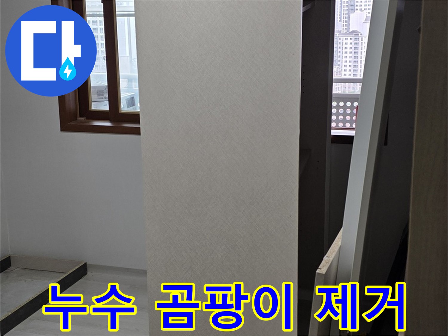 누수 곰팡이 - 곰팡이 제거 및 누수 해결