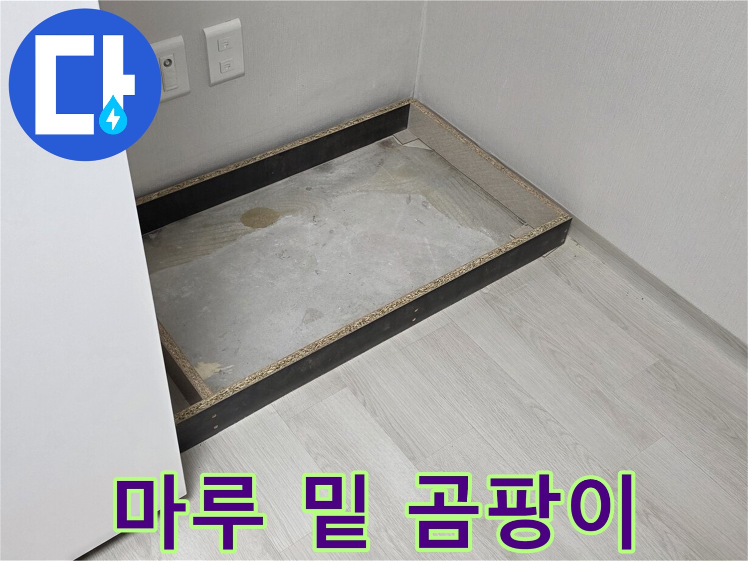 마루 밑 곰팡이 - 습기로 인해 번식한 곰팡이