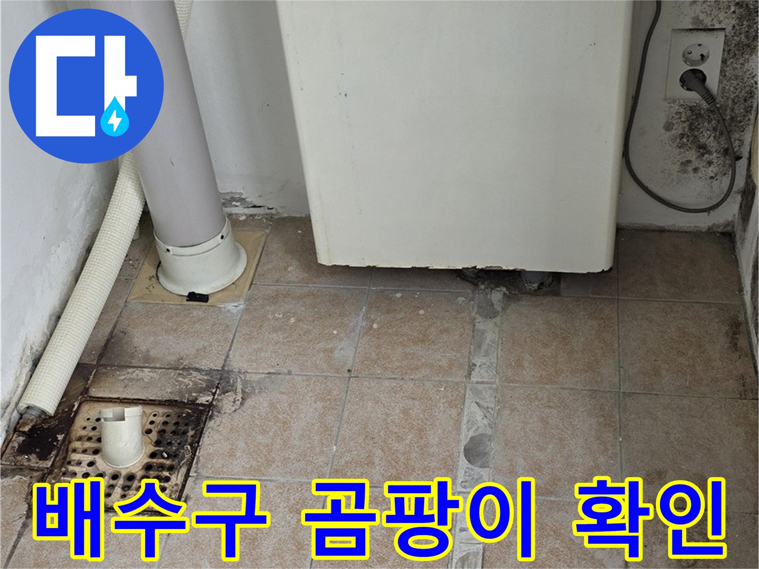 보일러실 배수구 주변 곰팡이 - 누수 흔적 및 타일 오염 확인
