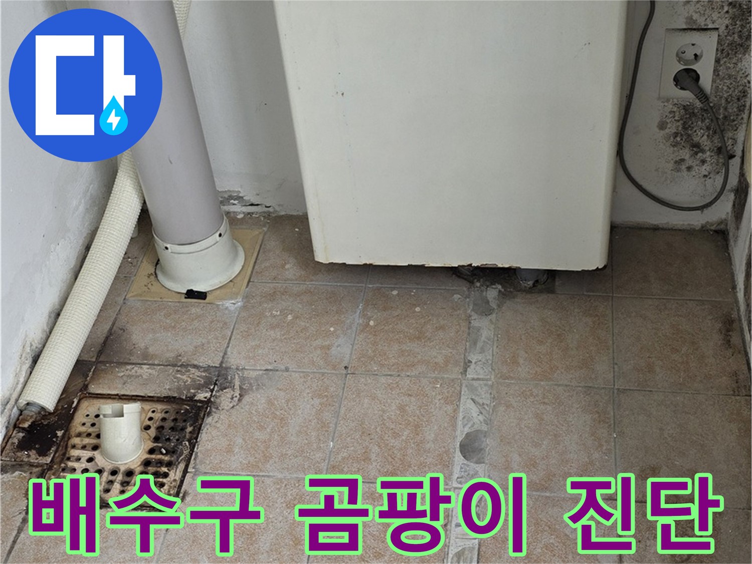 보일러실 배수구 주변 곰팡이 - 타일 손상 및 누수 의심 진단
