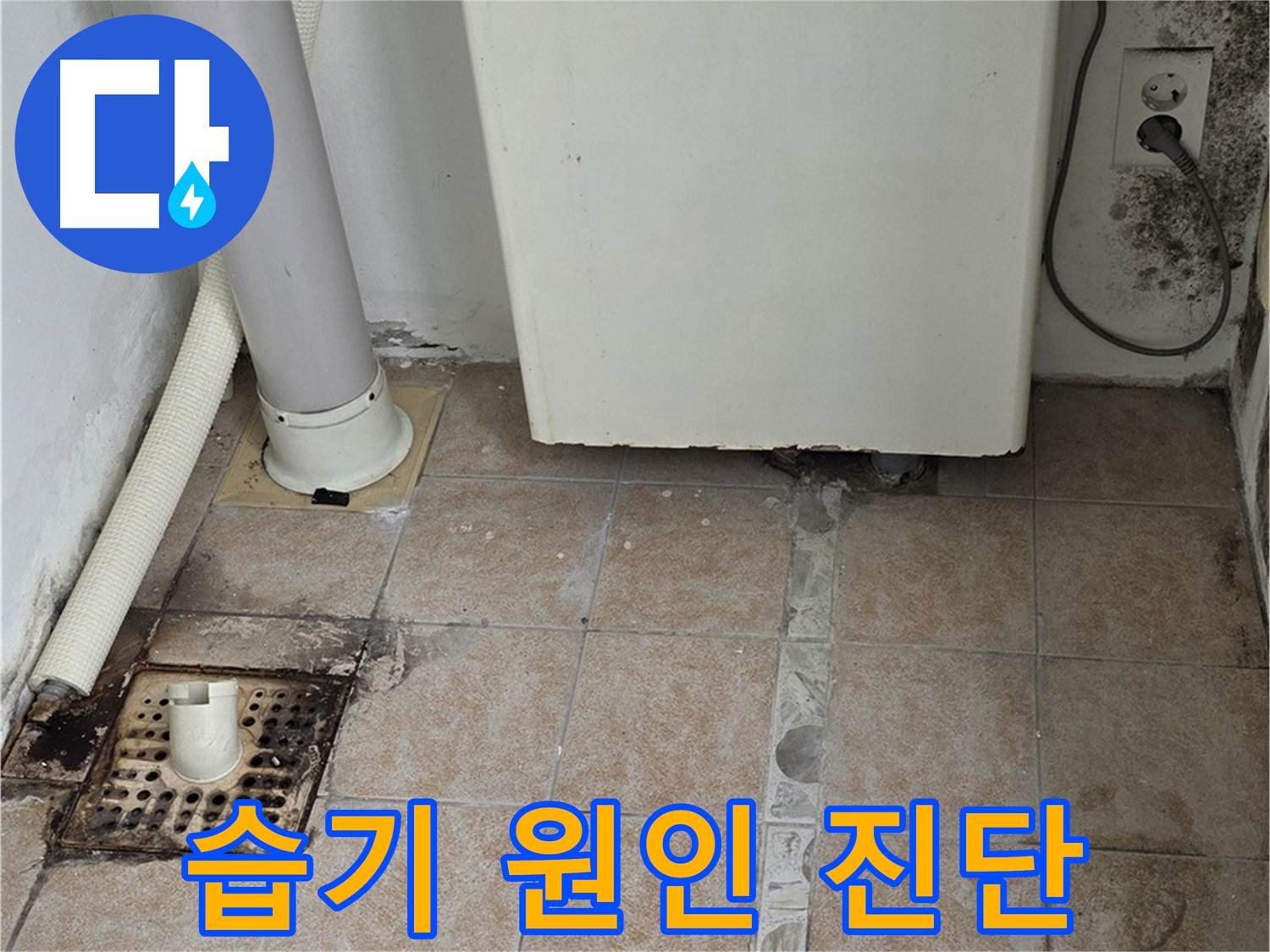 보일러실 습기 - 환기 불량 및 곰팡이 발생 진단