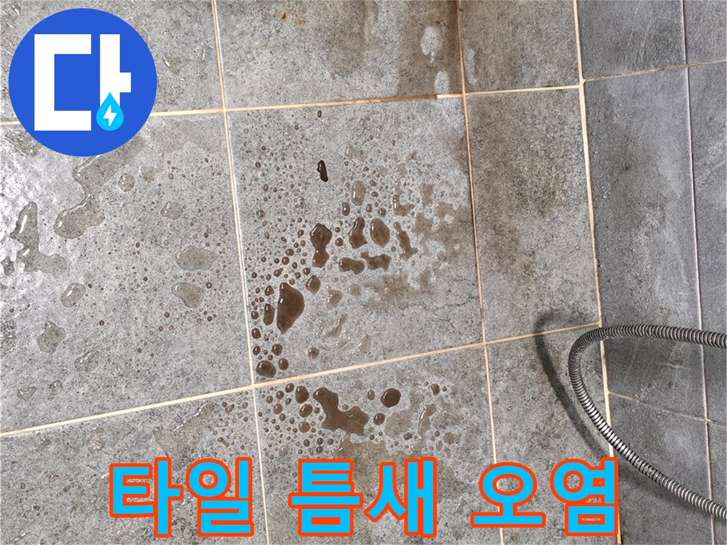 샤워부스 바닥 - 타일 틈새 오염 - 누수 가능성