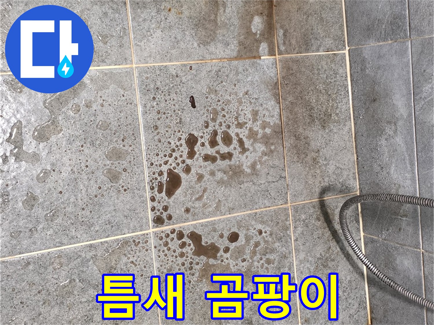 샤워부스 유리 틈새 - 곰팡이 - 실리콘 재시공