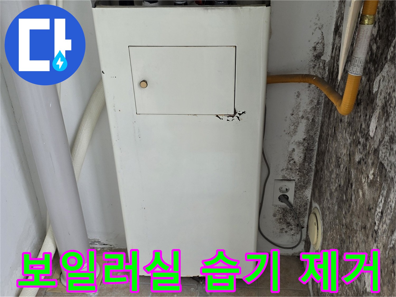 성북구 길음1동 숭인로 - 곰팡이 핀 보일러실 습기 제거 - 누수 전문가의 쾌적한 환경 조성