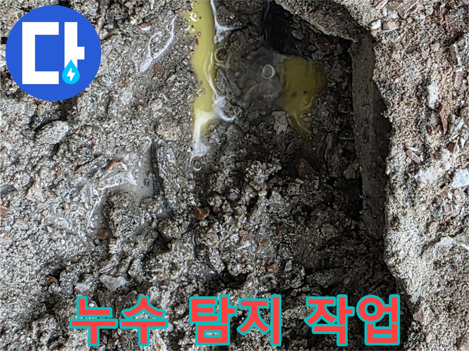 성북구 길음동 누수 탐지 작업 - 전문 장비를 사용하여 정확한 누수 지점을 찾아내는 모습입니다.