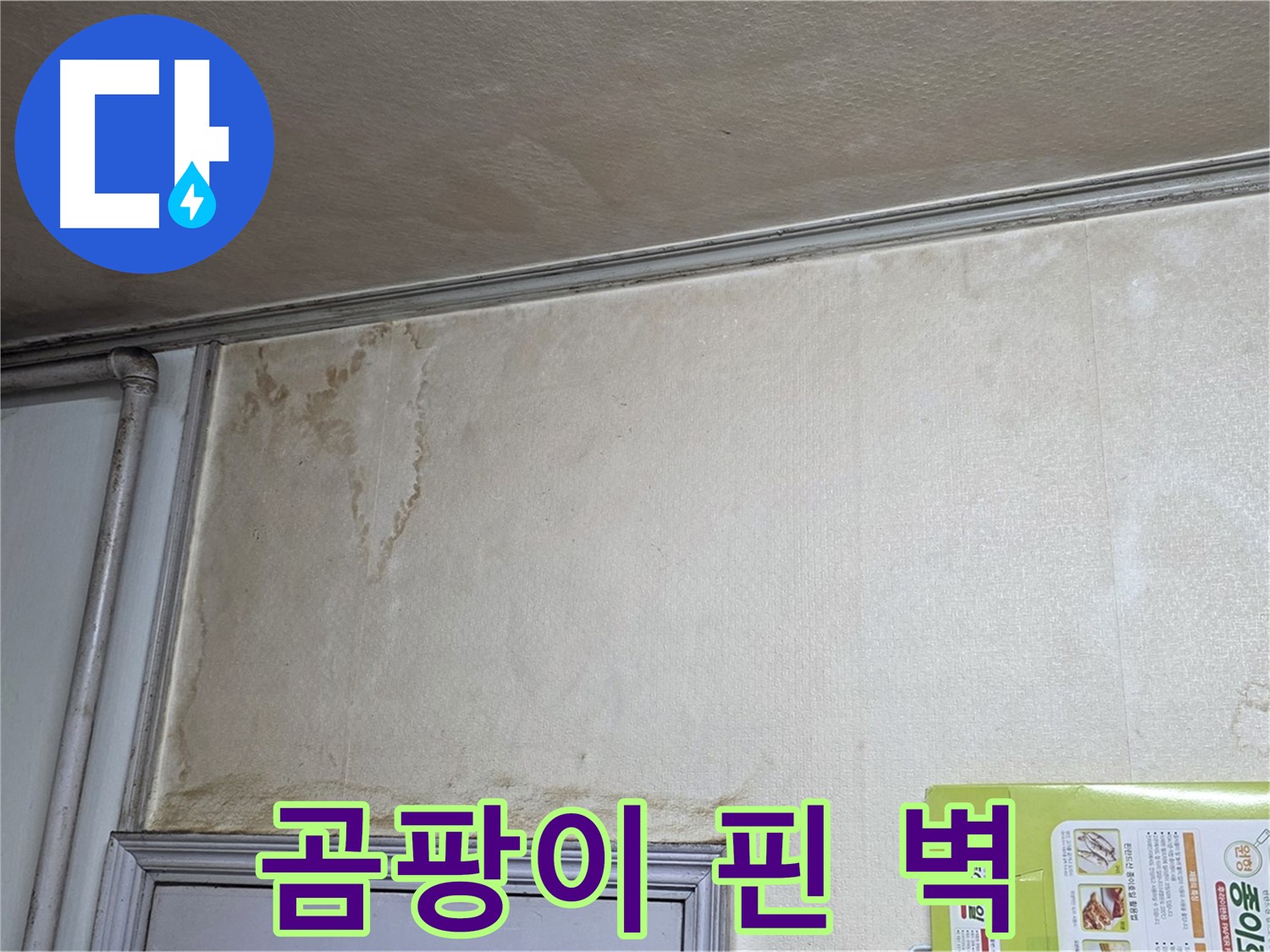 용인시 기흥구 구갈동 아파트 - 곰팡이 꽃핀 벽면 누수 흔적