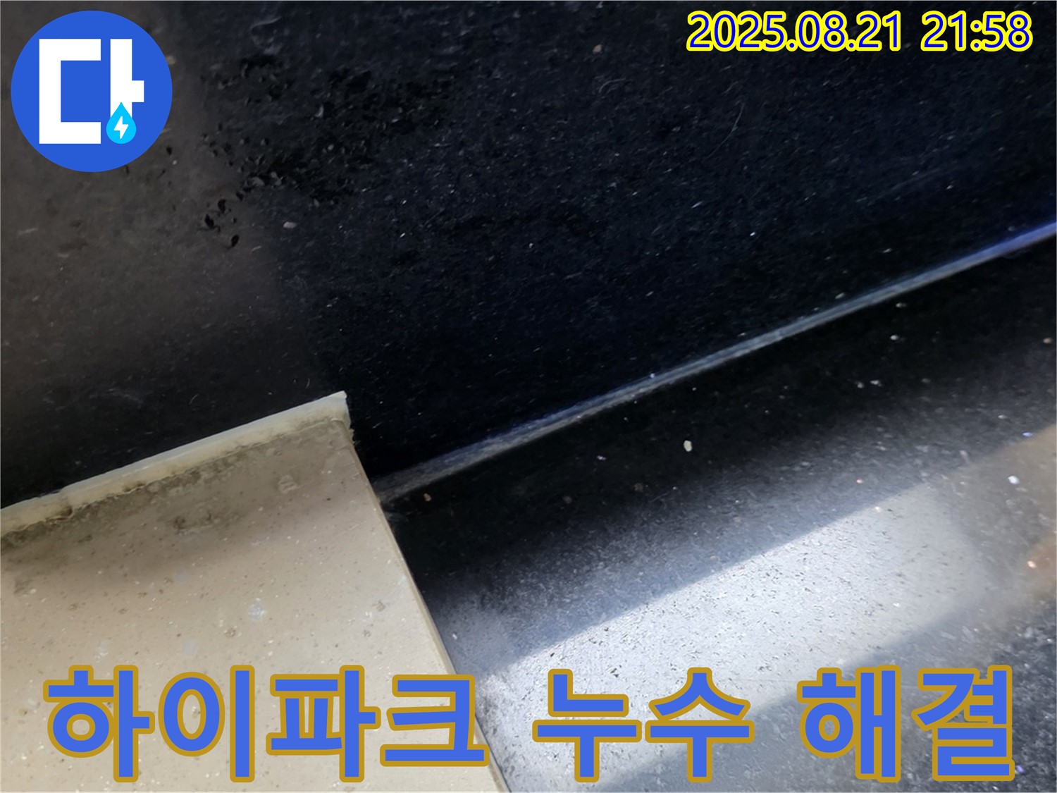 일산 하이파크 누수 현장 - 곰팡이 핀 타일 틈새를 통해 누수 위치를 파악하고 문제 해결을 위한 준비를 하는 모습