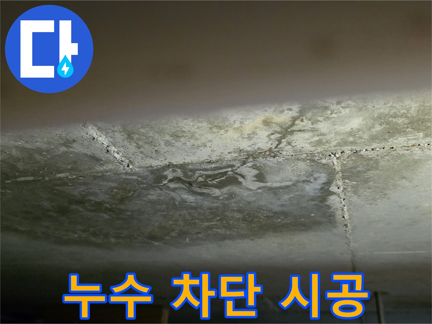 일산서구 덕이동 아파트 누수 - 완벽 차단 및 재발 방지 시공