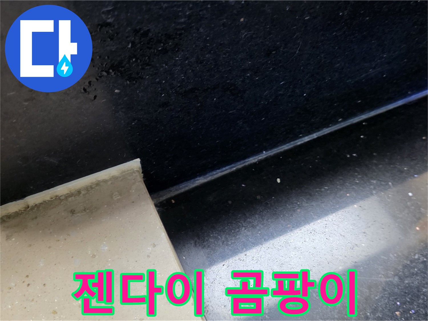 일산서구 탄현동 하이파크 인근 욕실 젠다이 곰팡이 - 누수와 곰팡이의 상관관계를 보여줍니다.