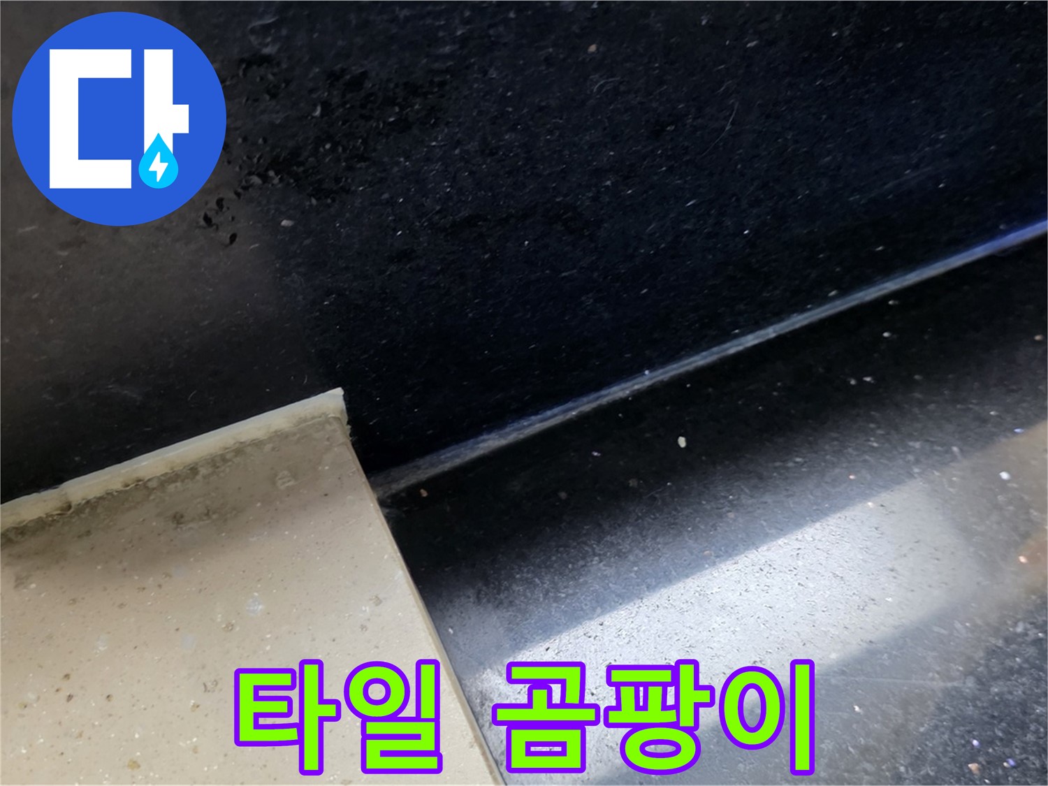 일산서구 탄현동 하이파크 인근 타일 곰팡이 - 누수와 곰팡이의 연관성을 보여주는 이미지입니다.