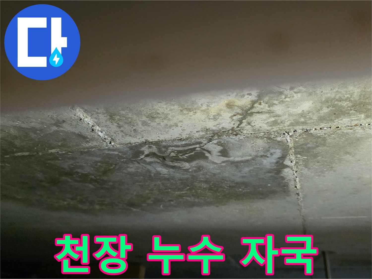 일산서구 하이파크 아파트 천장 누수 자국 - 정확한 진단과 신속한 해결
