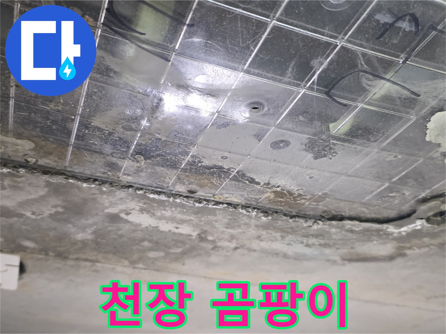 천장 곰팡이 - 누수로 인해 천장에 곰팡이가 심하게 번식한 모습입니다.