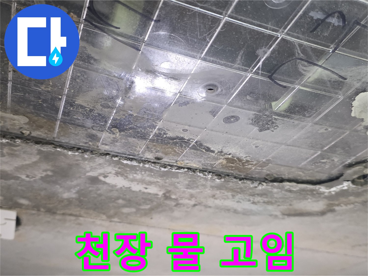 천장 물 고임 - 누수로 인해 천장에 물이 심하게 고여 있습니다.