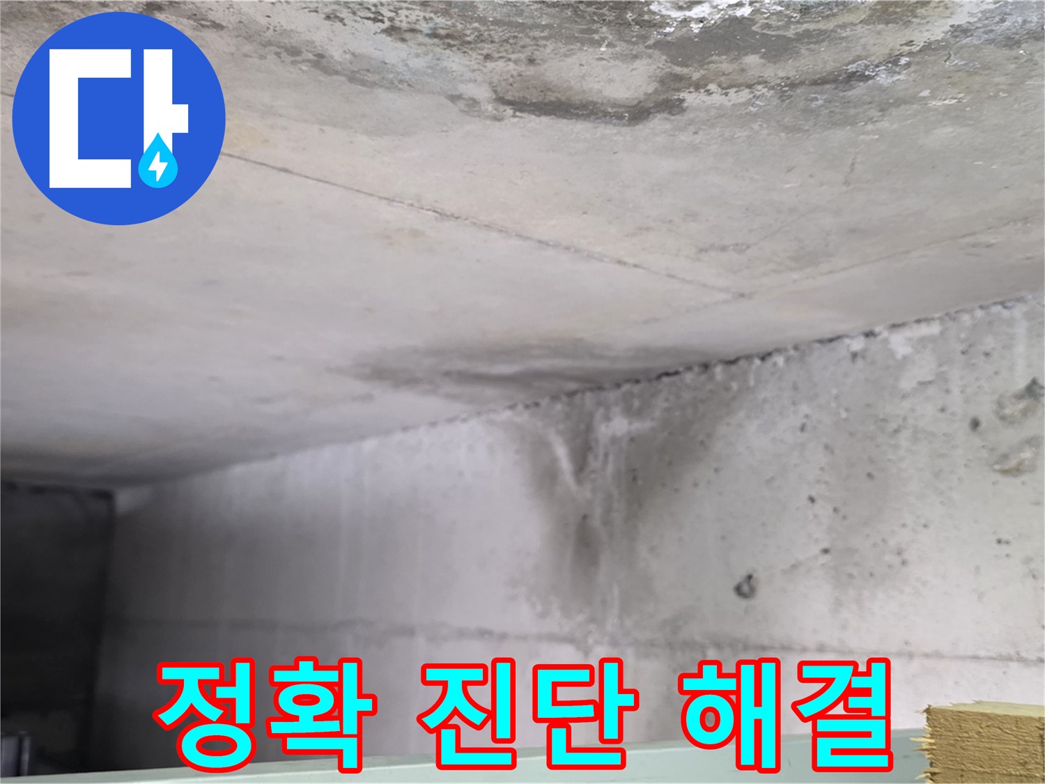 콘크리트 누수 - 일산 누수, 정확한 진단과 맞춤형 해결책