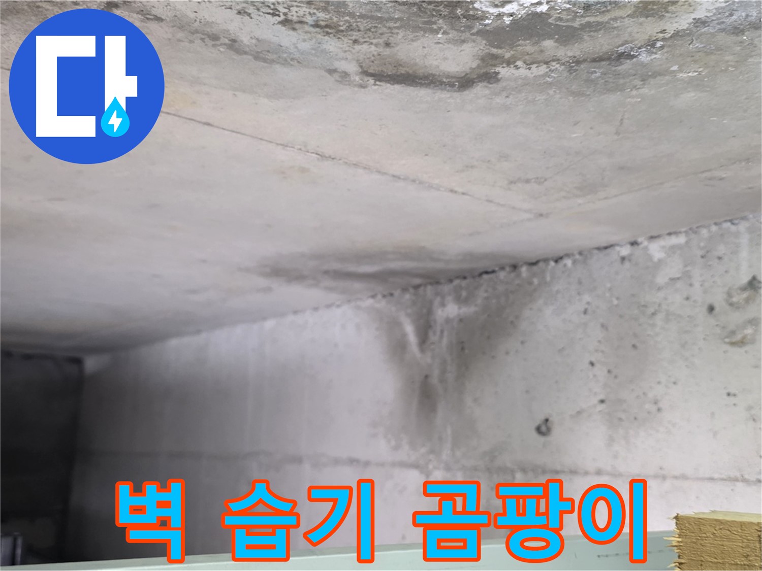 콘크리트 벽면 습기 - 일산서구 누수, 곰팡이 발생 초기