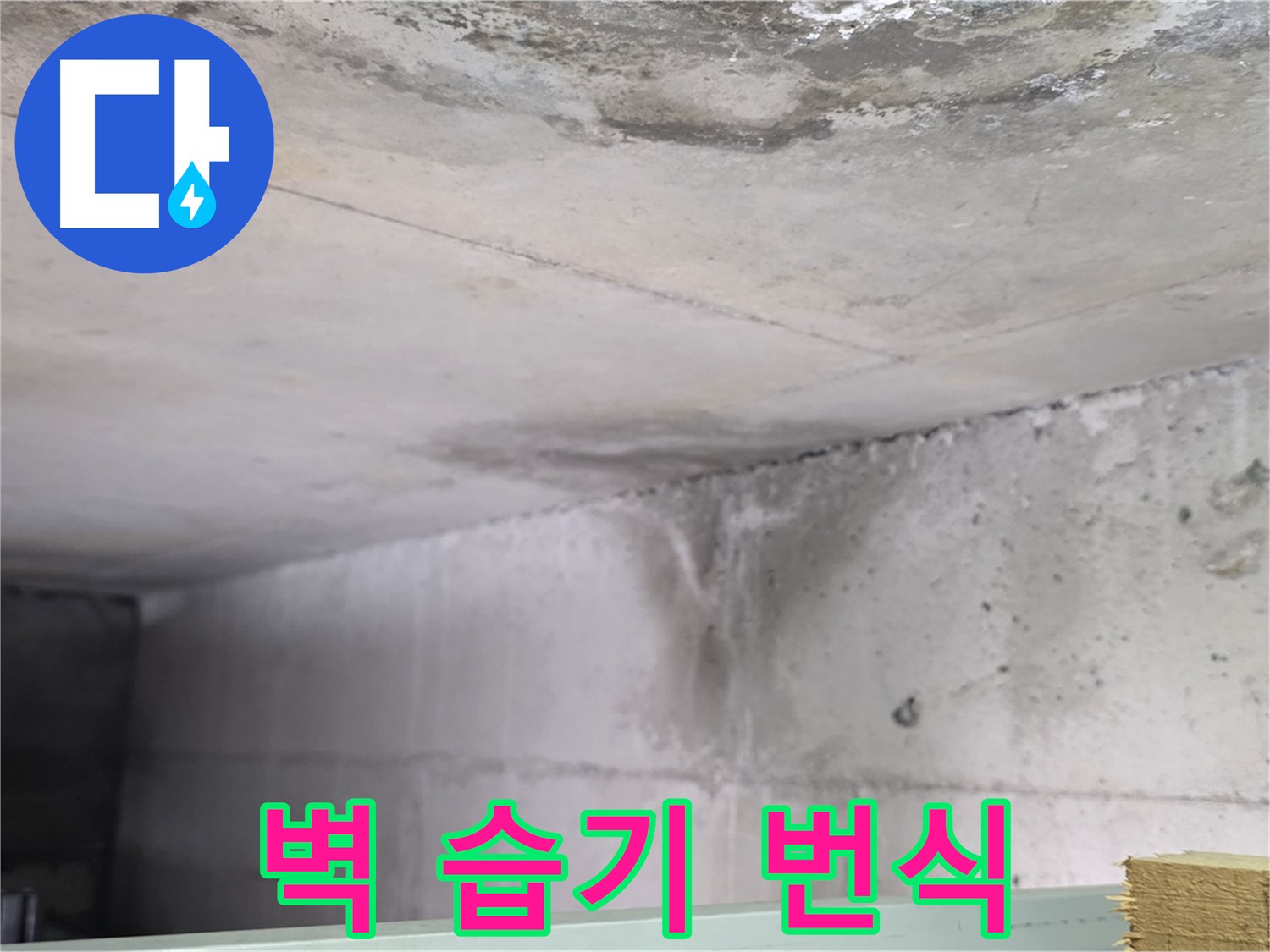 콘크리트 벽면 습기 - 일산서구 누수, 곰팡이 번식 직전