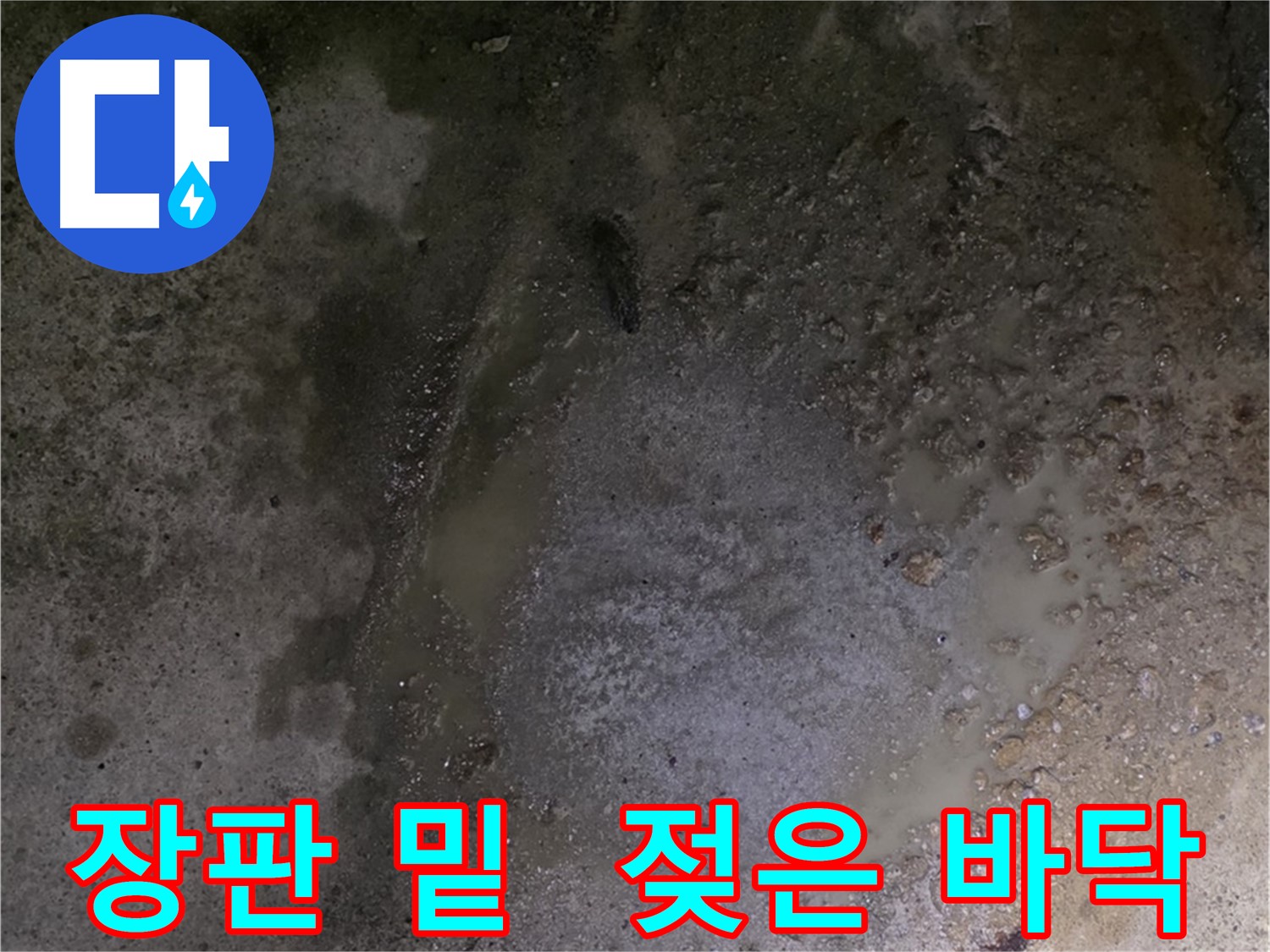 강원도 철원군 서면 와수리 누수 현장 - 장판 밑이 젖어있는 숨겨진 누수 현장입니다.
