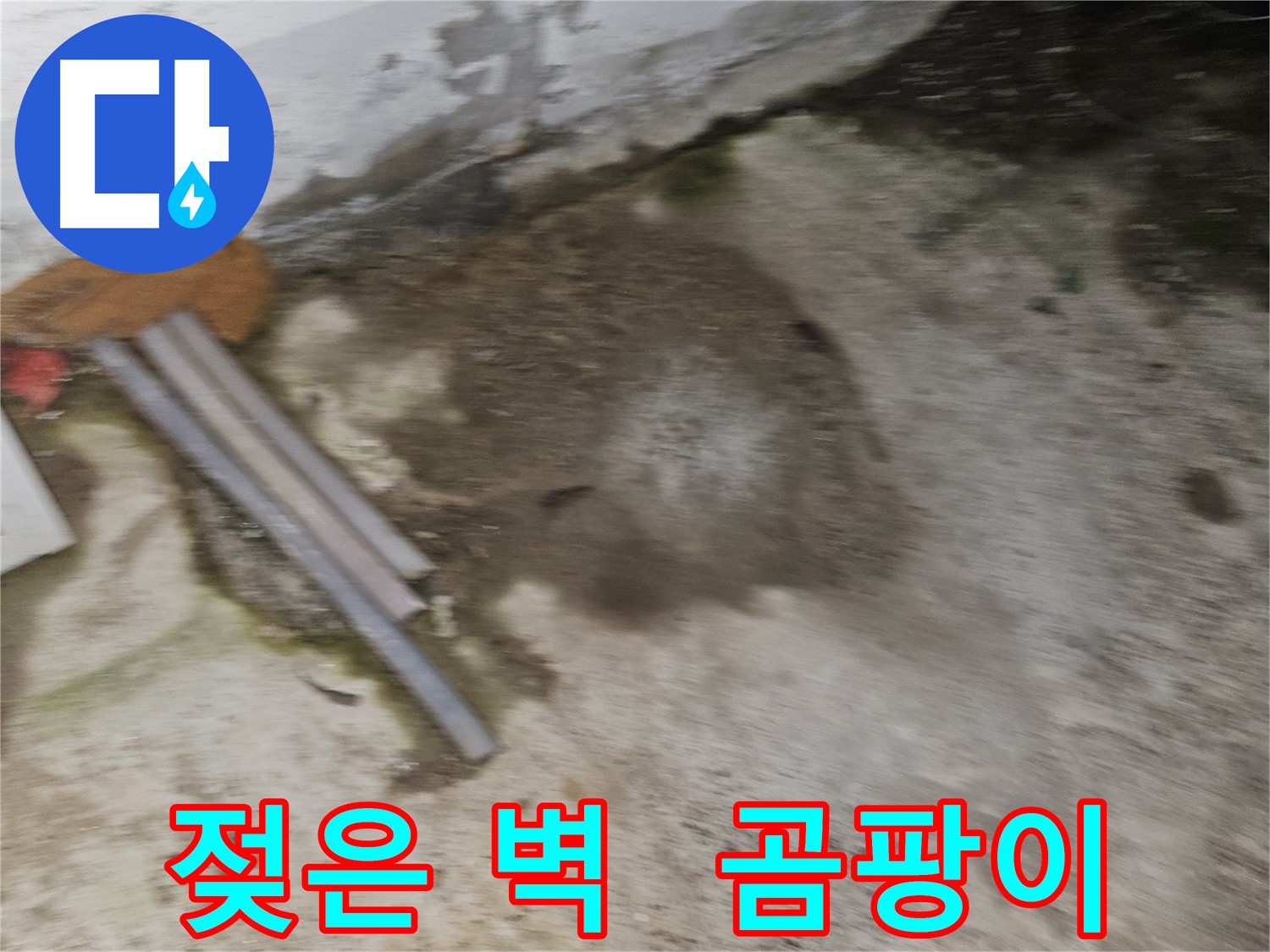 젖은 벽과 곰팡이는 건물 부식의 시작입니다.