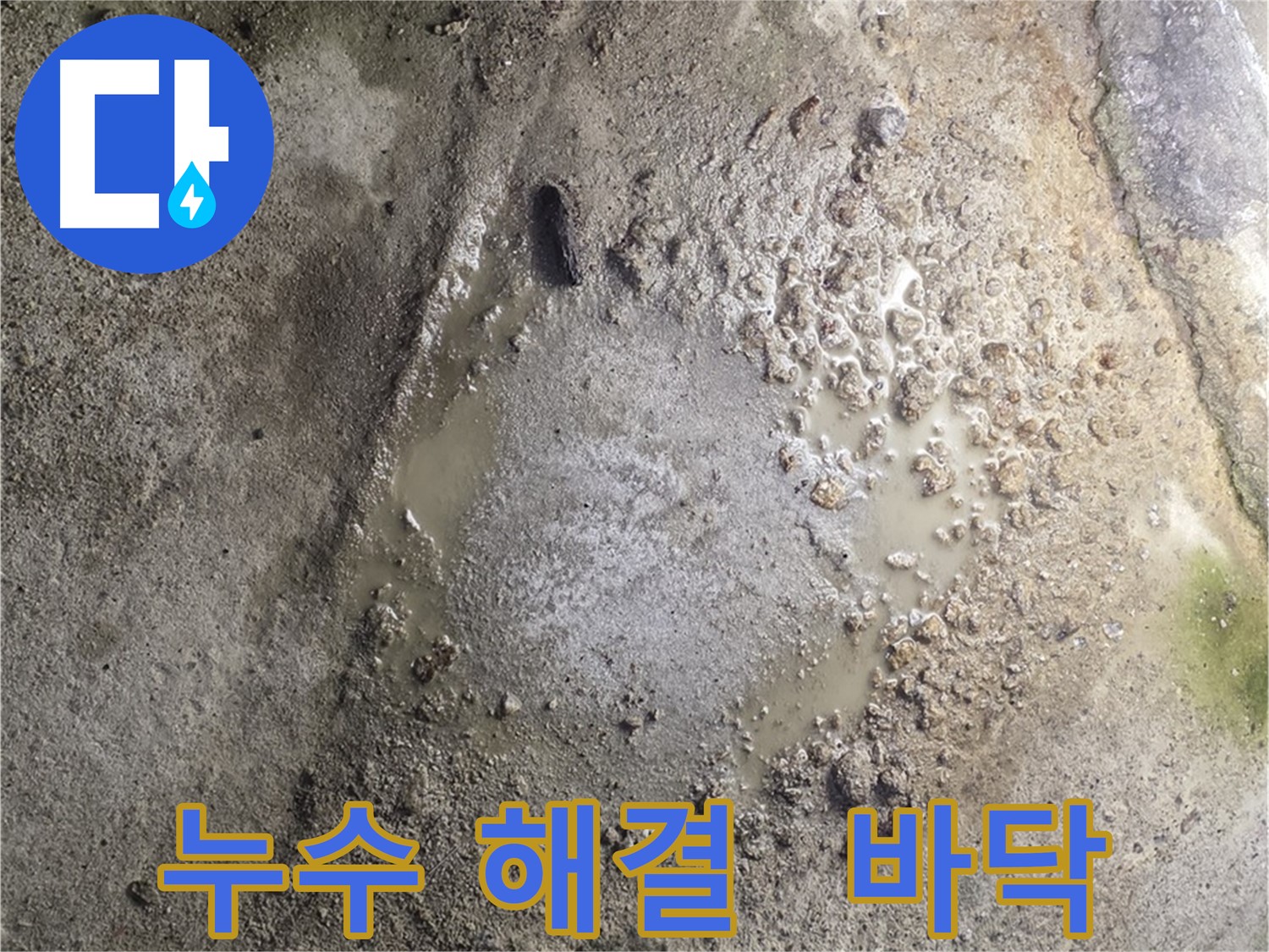 철원군 서면 와수리 누수 해결 - 누수로 인한 걱정을 덜어드리기 위해 최선을 다하고 있습니다.