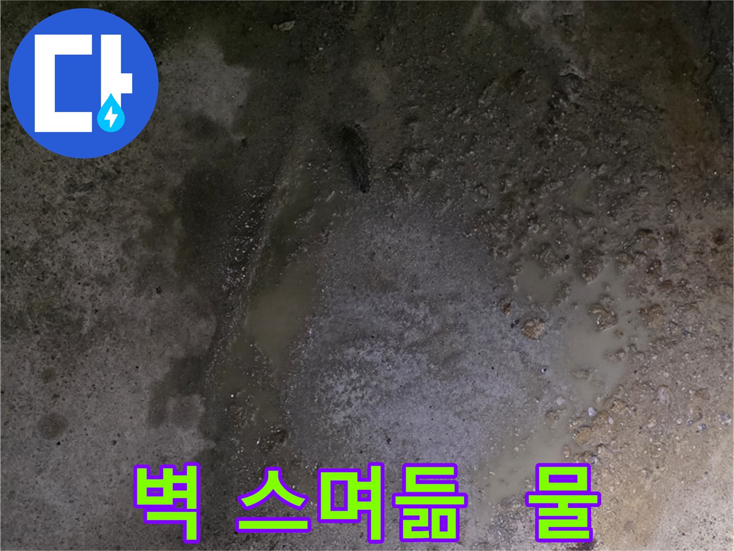 철원군 서면 와수리 누수 현장 - 벽에 물이 스며들어 얼룩이 생긴 모습입니다.