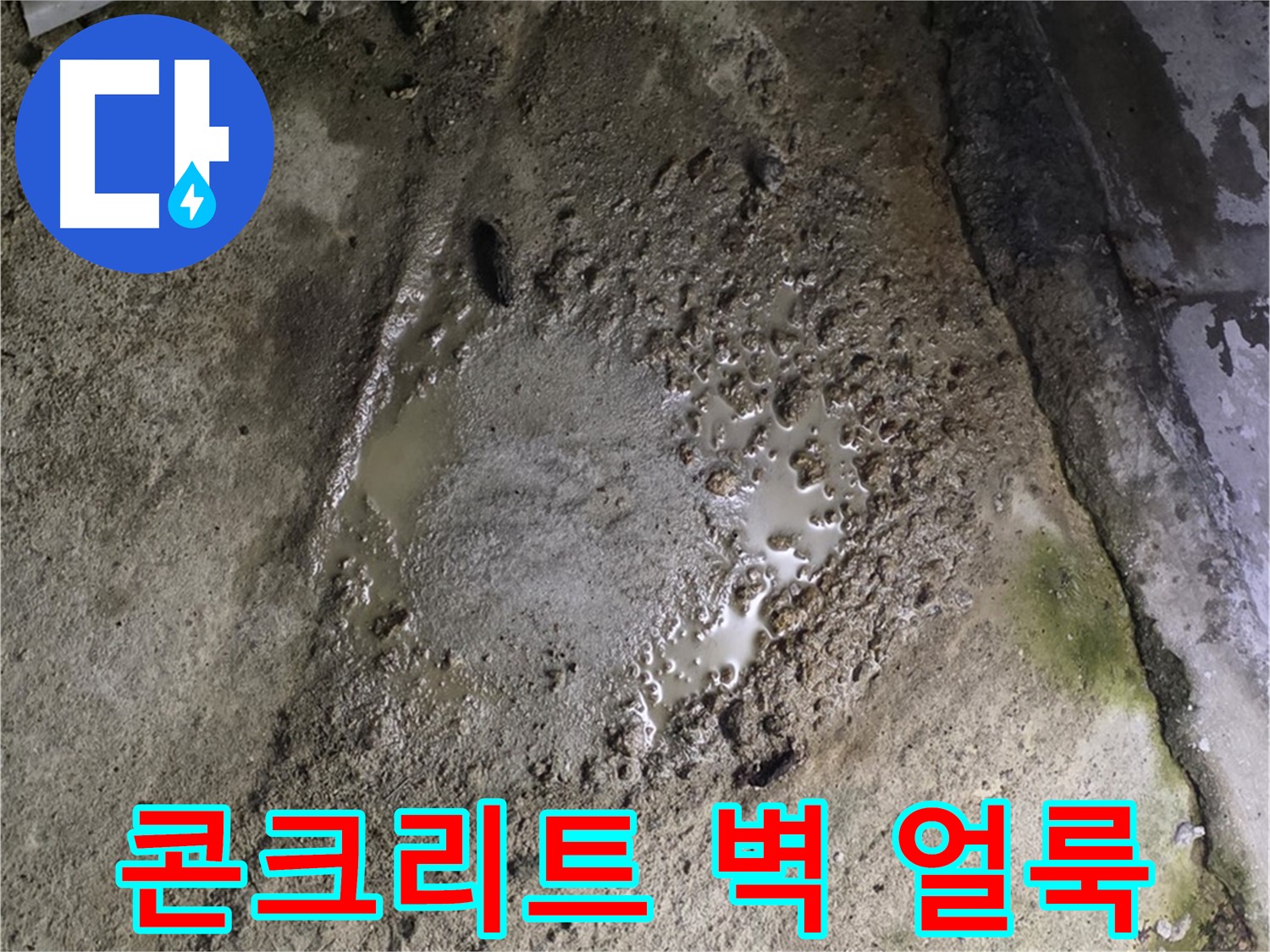 철원군 서면 와수리 - 콘크리트 건물 벽에 생긴 얼룩은 누수의 신호일 수 있습니다.