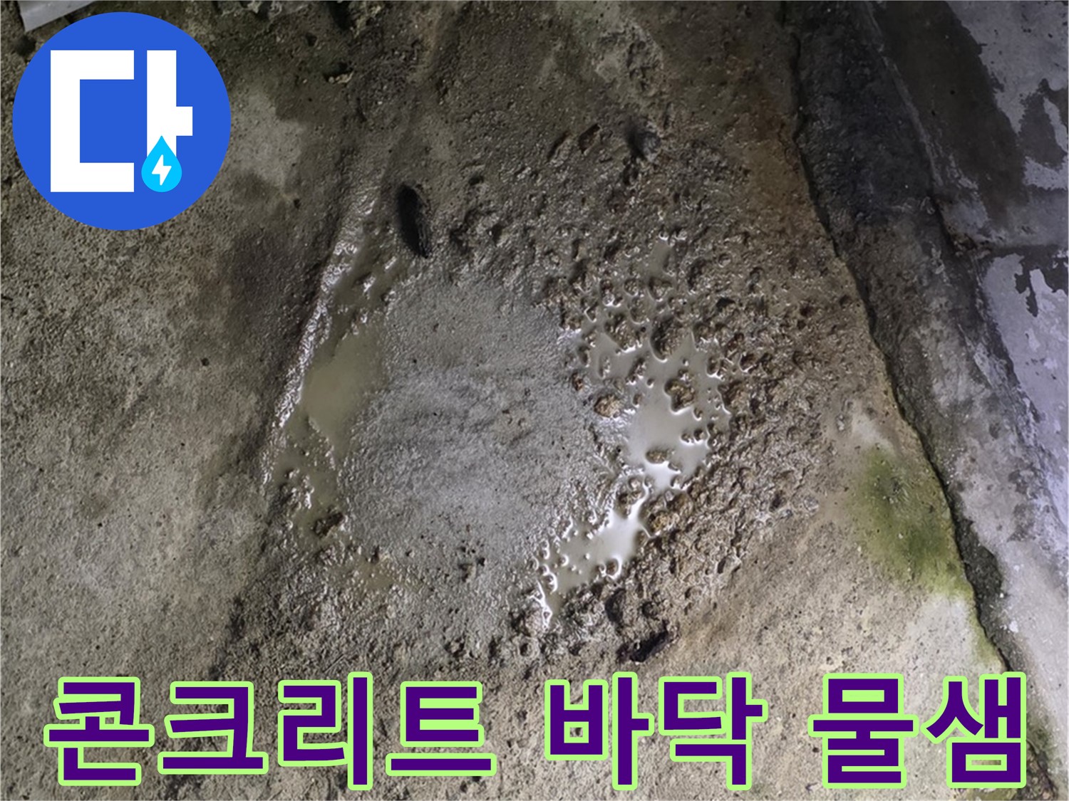 철원군 서면 와수리 - 콘크리트 바닥에서 물이 계속 새고 있는 모습입니다.
