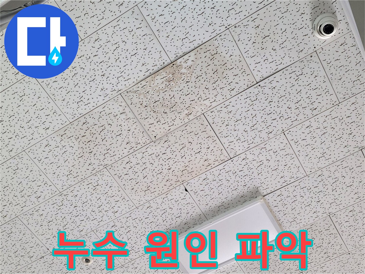 김포 장기동 건물 누수 - 천장 누수 원인 파악 중