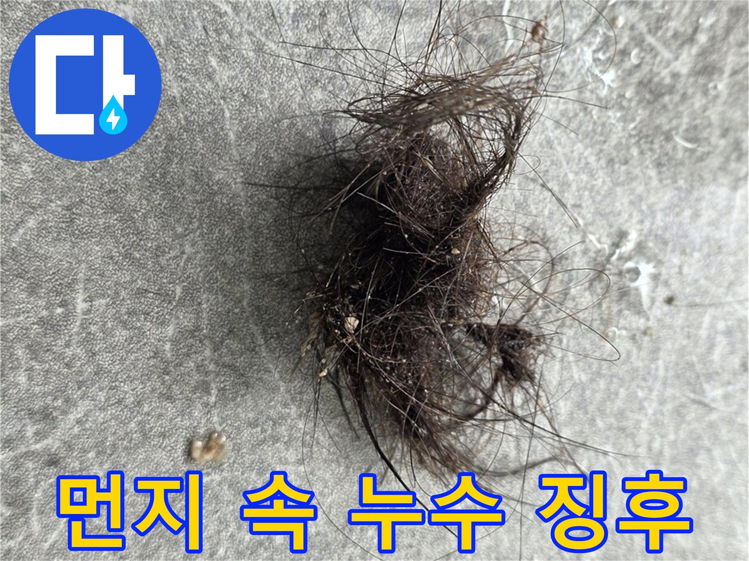 먼지 속 누수 징후 - 작은 먼지 뭉치도 놓치지 않는 꼼꼼한 누수 점검.