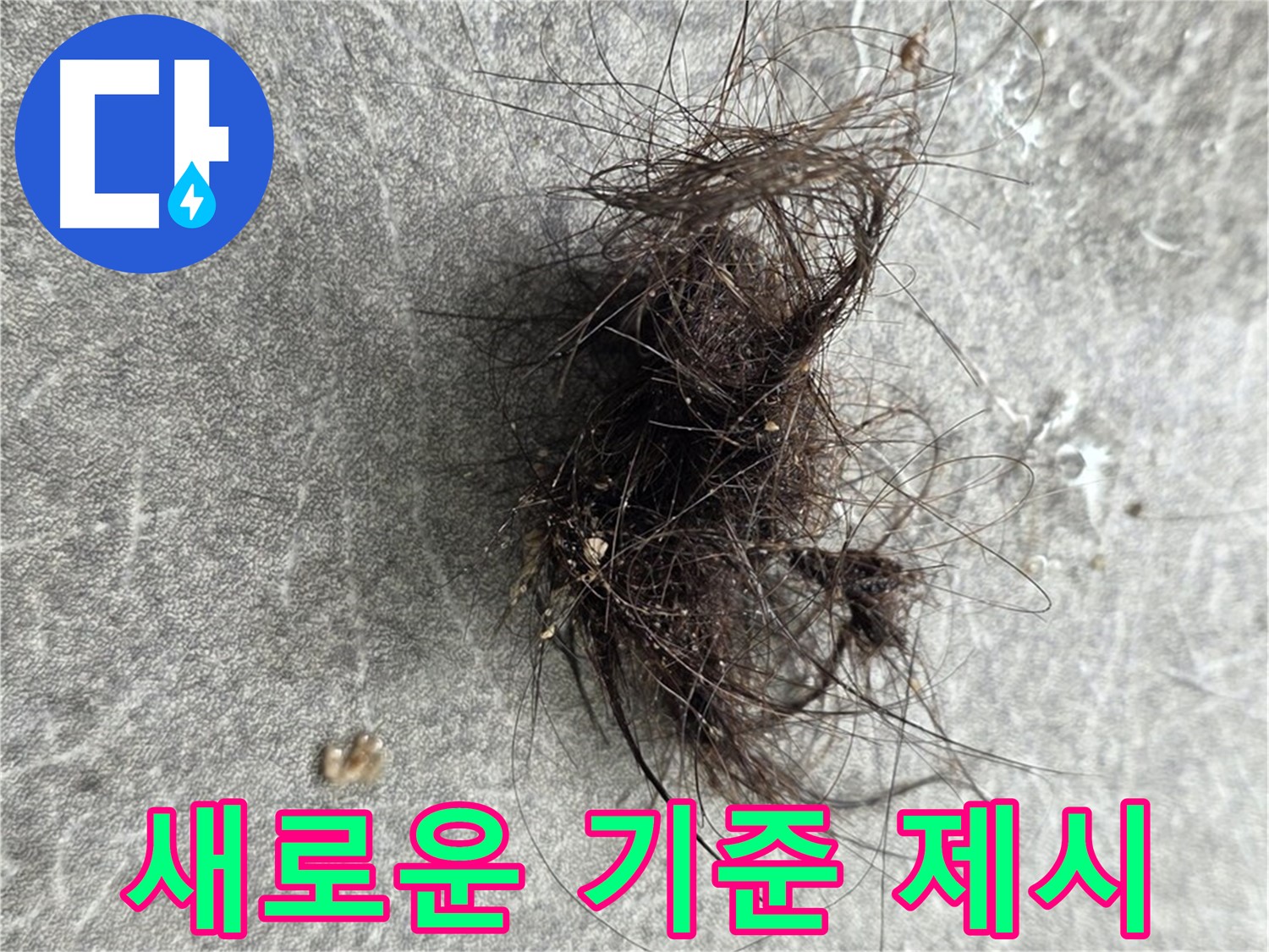 새로운 기준 제시 - 누수 탐지 및 해결의 새로운 기준을 제시합니다.