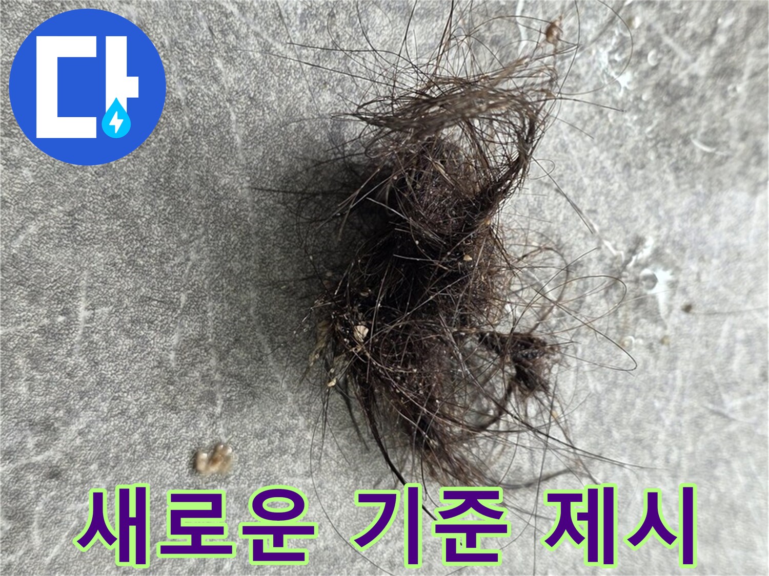 새로운 기준 제시 - 누수 탐지 및 해결의 새로운 기준을 제시합니다.