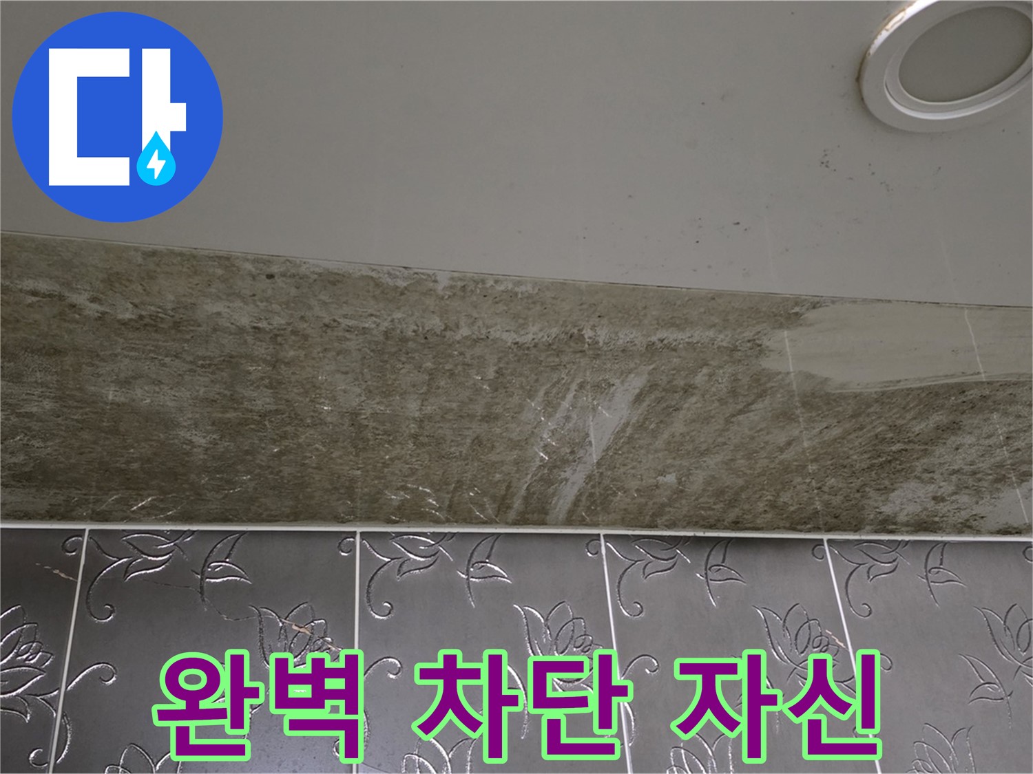 곰팡이 심한 화장실 - 누수 해결, 완벽 차단 자신 있습니다