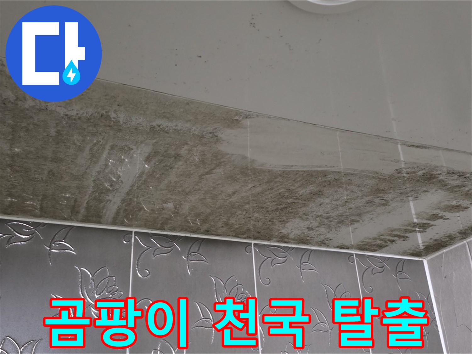 곰팡이 천국 욕실 - 누수 원인 해결 후 완벽하게 차단된 쾌적한 모습