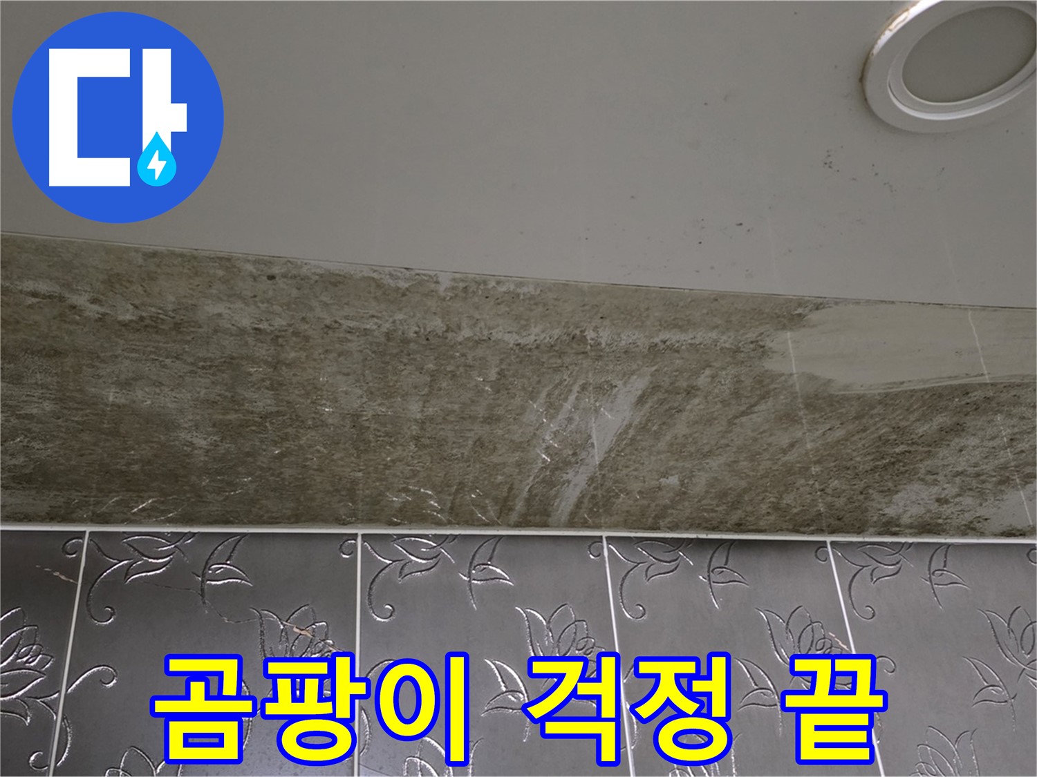 곰팡이 핀 욕실 - 누수 해결, 꼼꼼한 진단과 완벽한 시공으로 곰팡이 걱정 끝내세요!