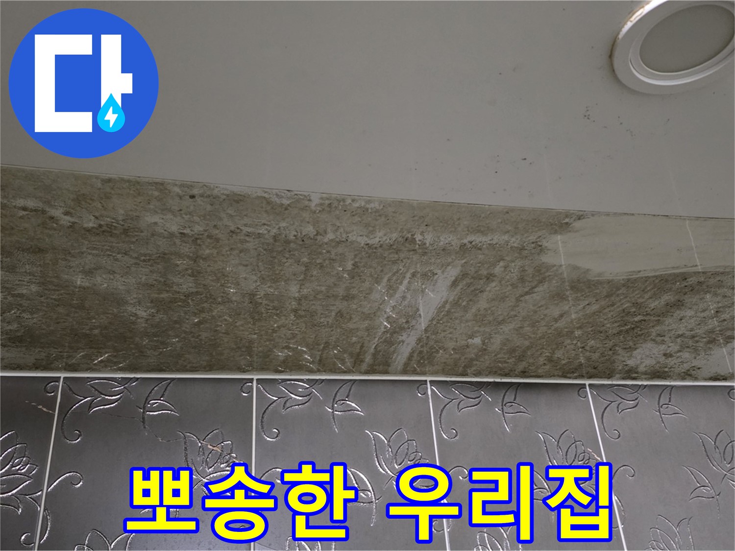 곰팡이 핀 화장실 천장 - 곰팡이 OUT, 쾌적하고 뽀송한 우리집 완성