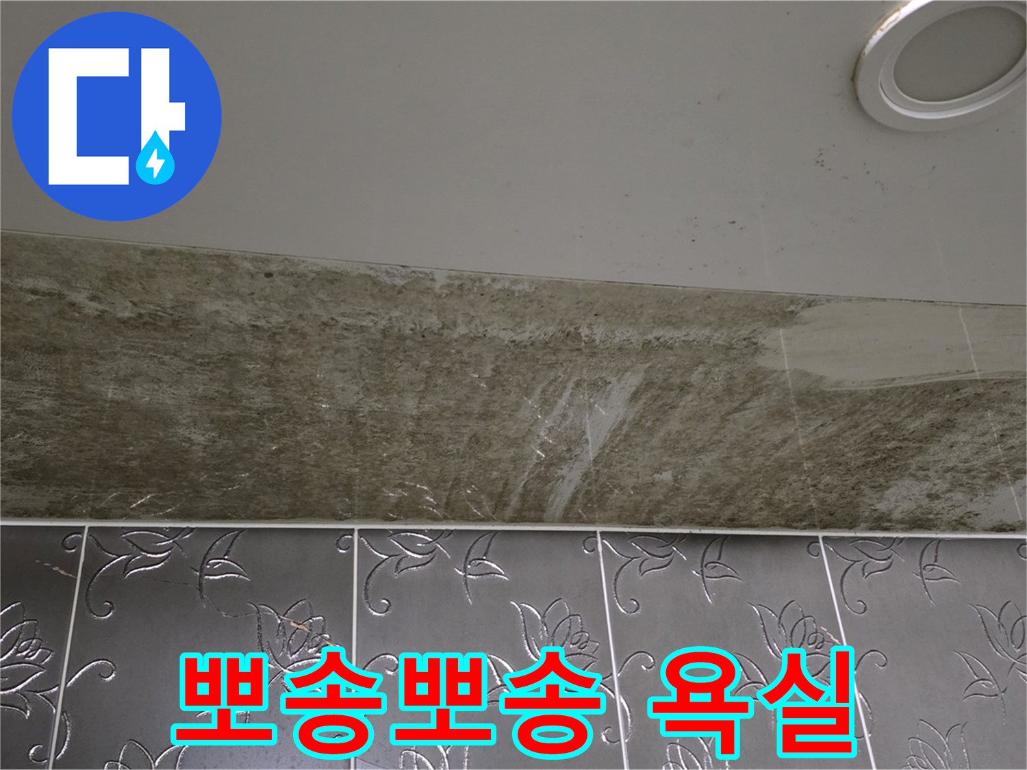 곰팡이 핀 화장실 천장 - 곰팡이 없는 뽀송뽀송 욕실 만들기