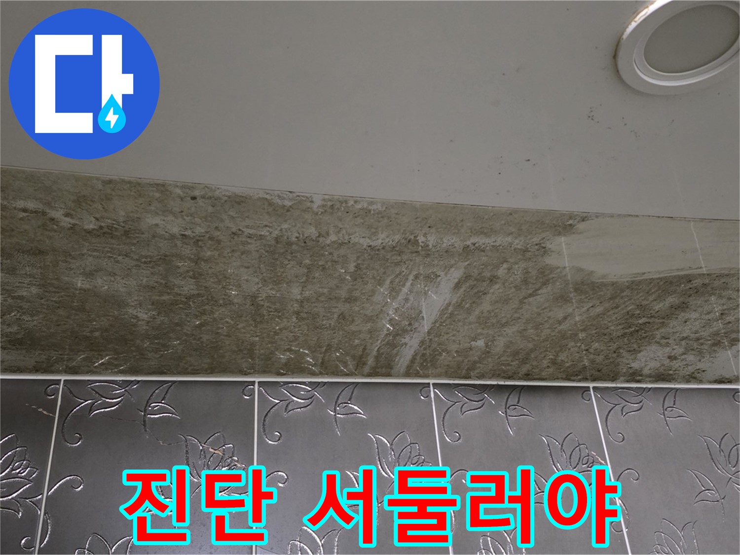곰팡이로 얼룩진 화장실 천장 - 누수 진단 서둘러 진행