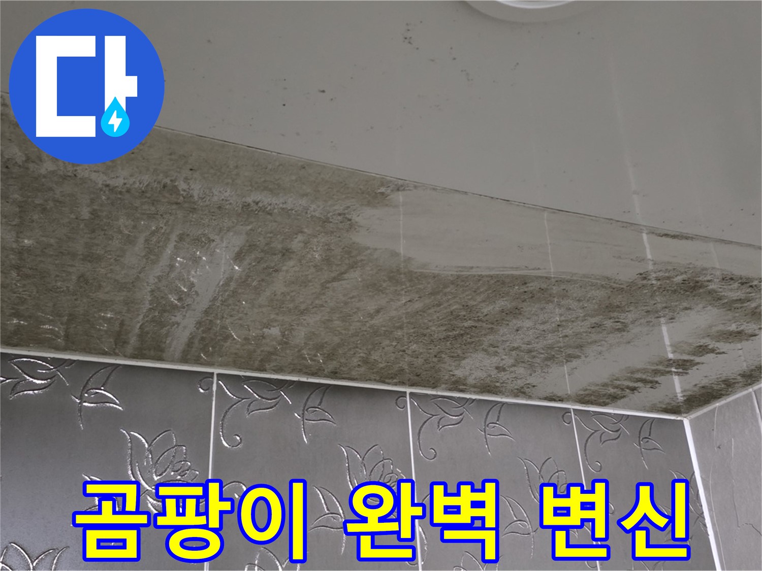 곰팡이로 엉망진창 욕실 천장 - 누수 원인 해결 후 완벽하게 변신!