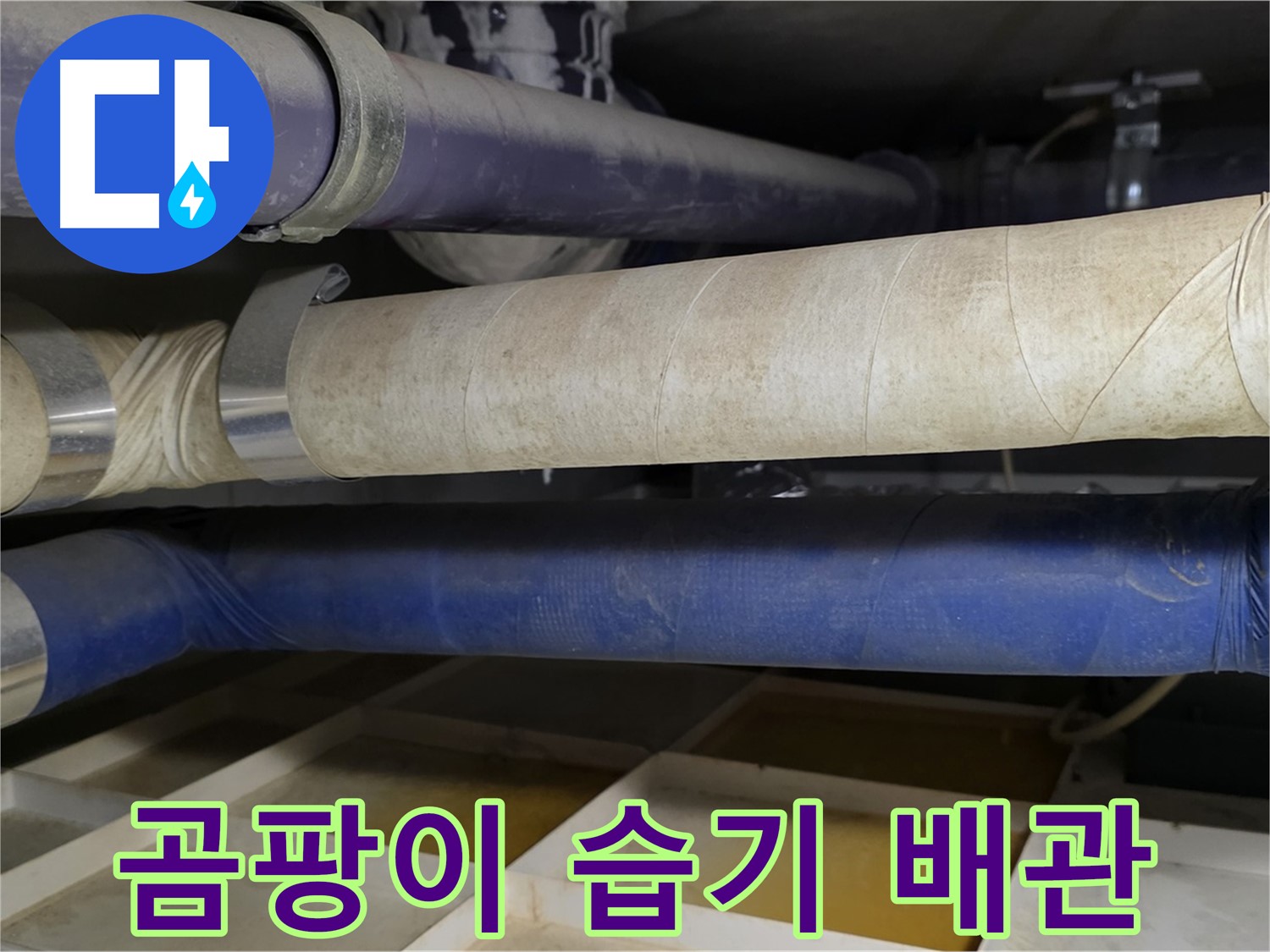 곰팡이와 습기로 뒤덮인 낡은 배관 - 건강까지 위협합니다