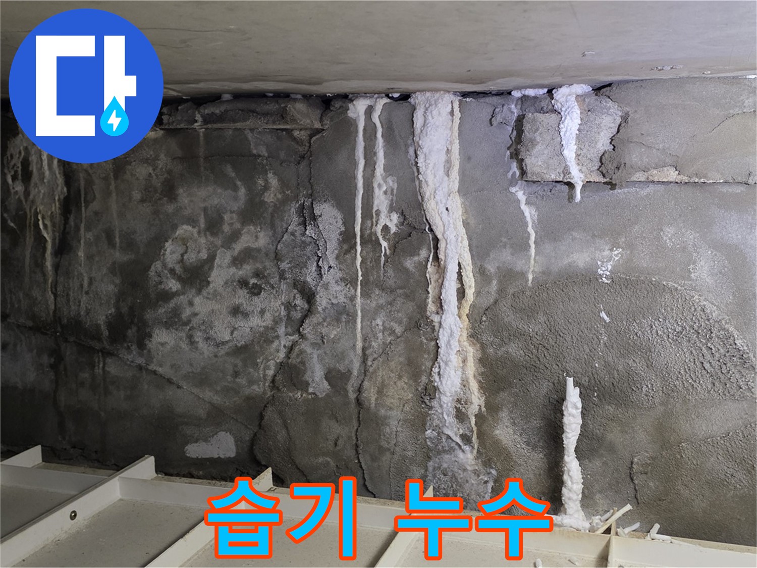 벽에 습기가 차는 누수 - 곰팡이 발생 위험, 빠른 점검 필요