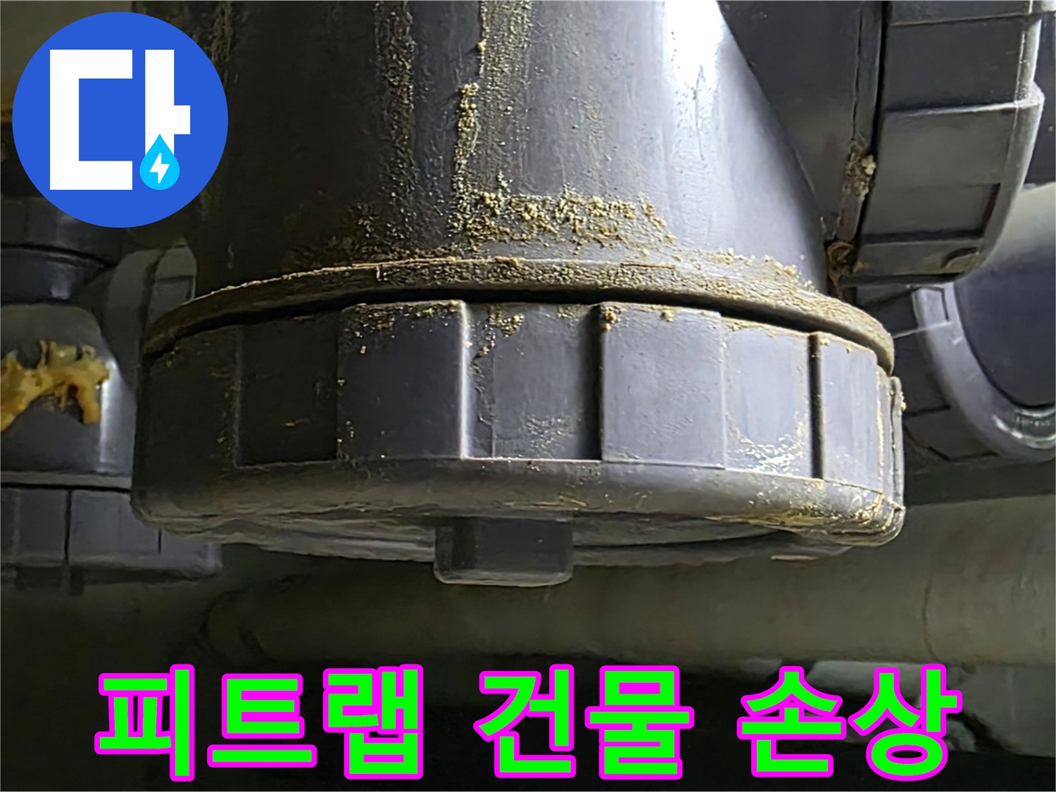 피트랩 연결 부위 누수 - 배수구 냄새와 벌레 차단의 문제