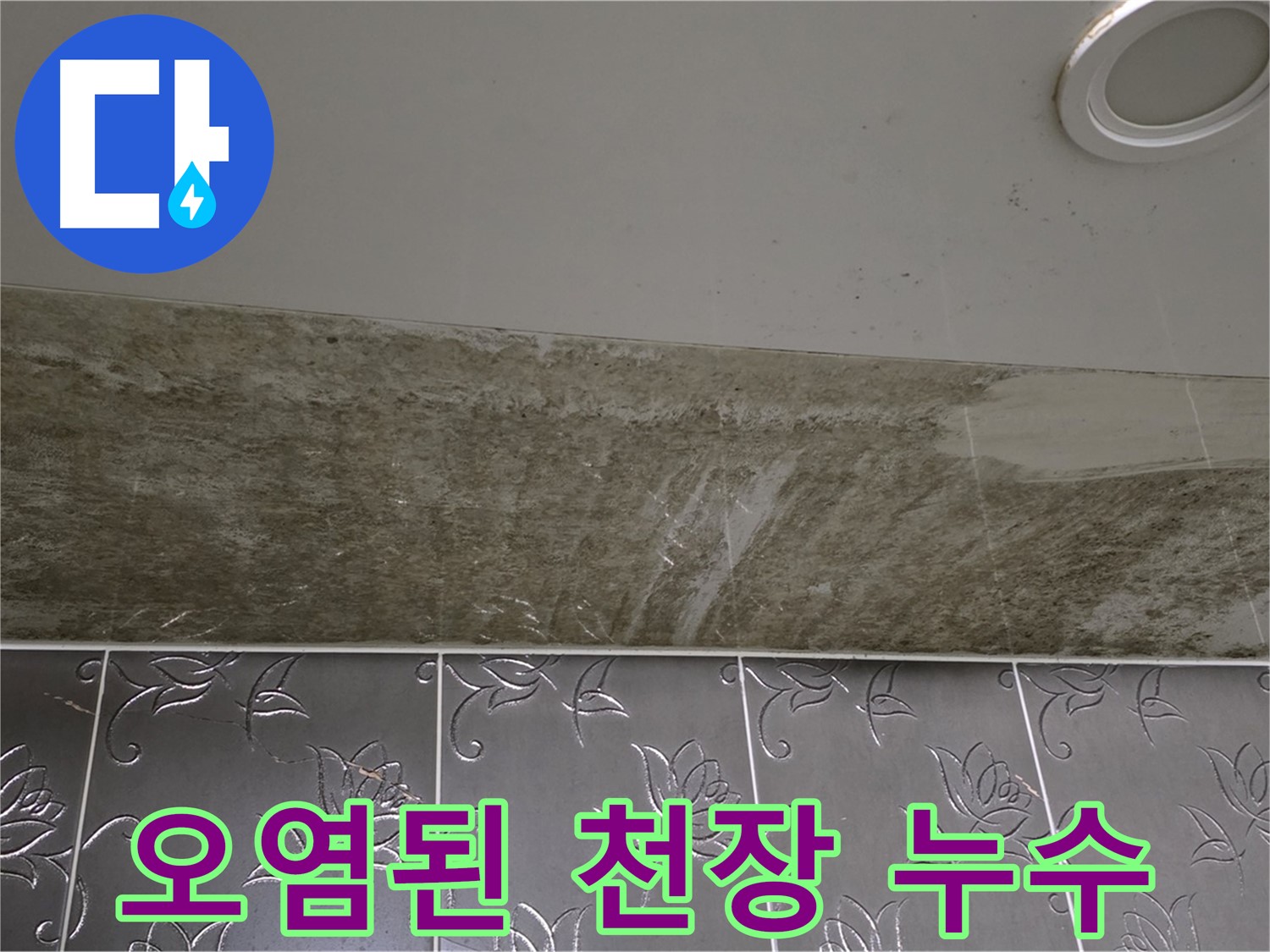 곰팡이로 오염된 화장실 천장 - 누수 진단 요청