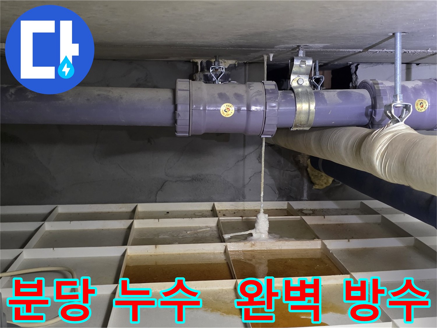 분당 산운마을 6단지 낡은 배관 누수 - 연결 부위 부식, 꼼꼼한 녹 제거 후 완벽 방수