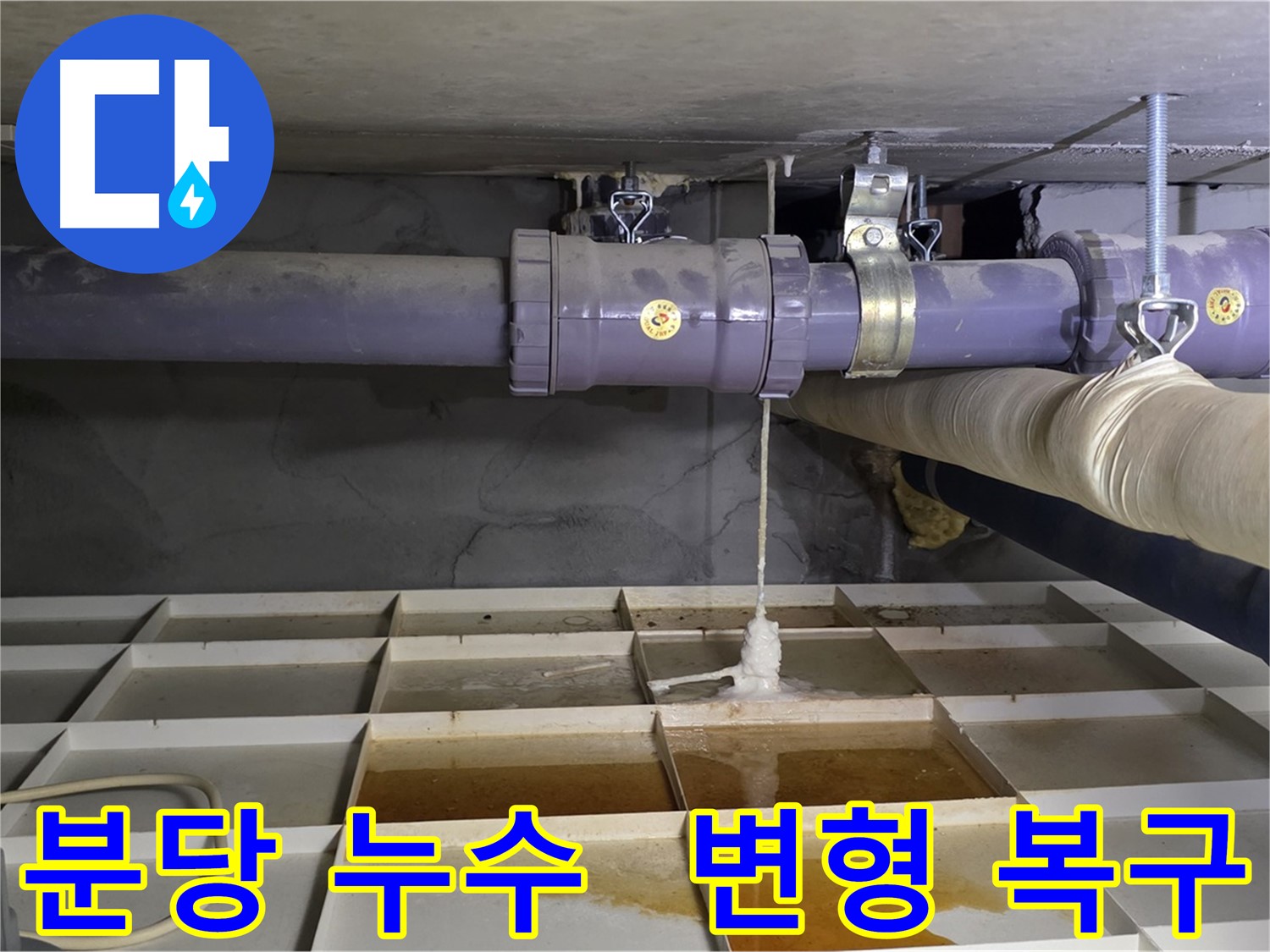 분당 산운마을 배관 누수 - 연결 부위 변형, 전문 장비로 완벽 복구 작업