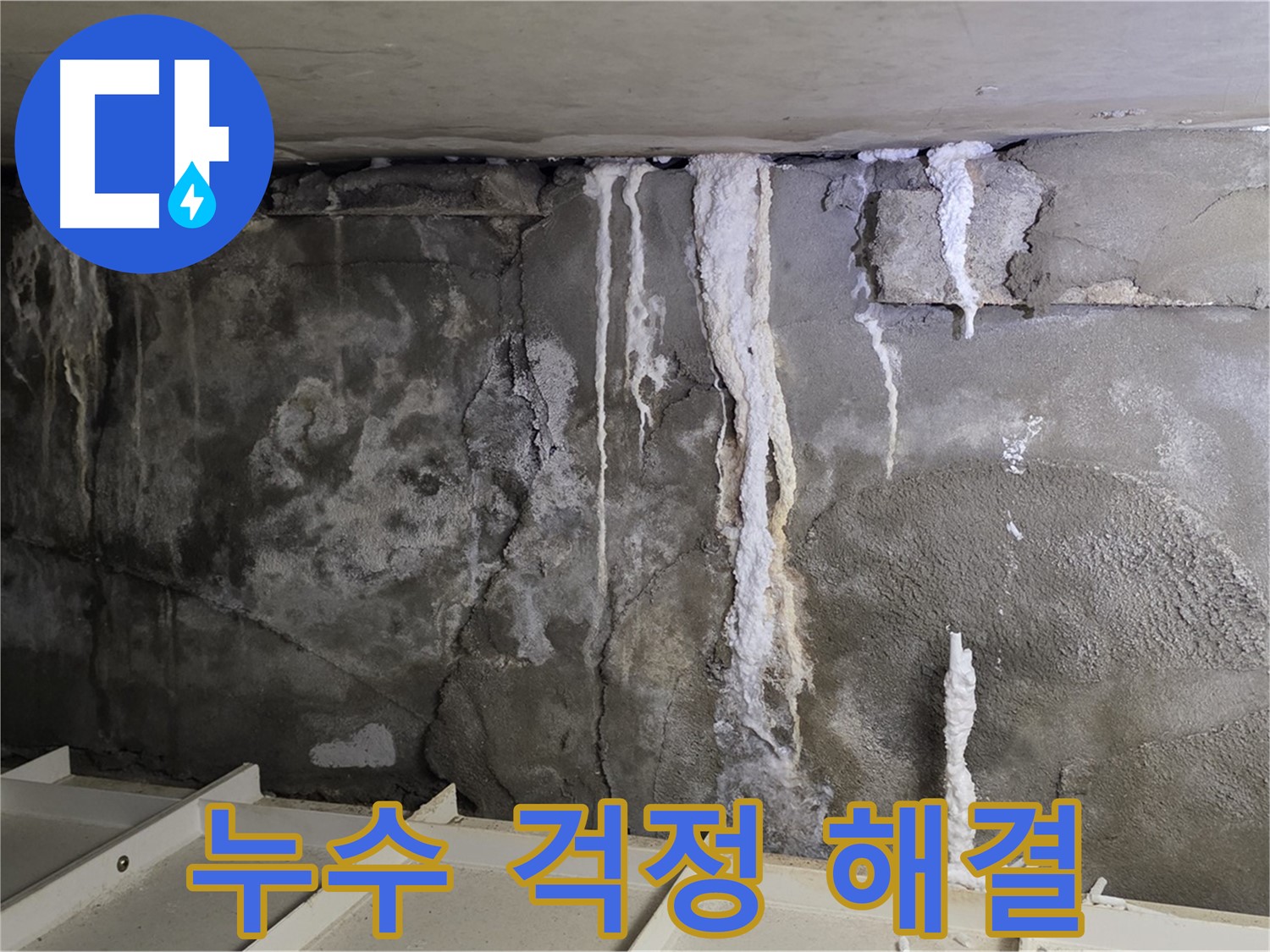 분당 운중동 건물 누수 - 누수 걱정, 이제 끝!
