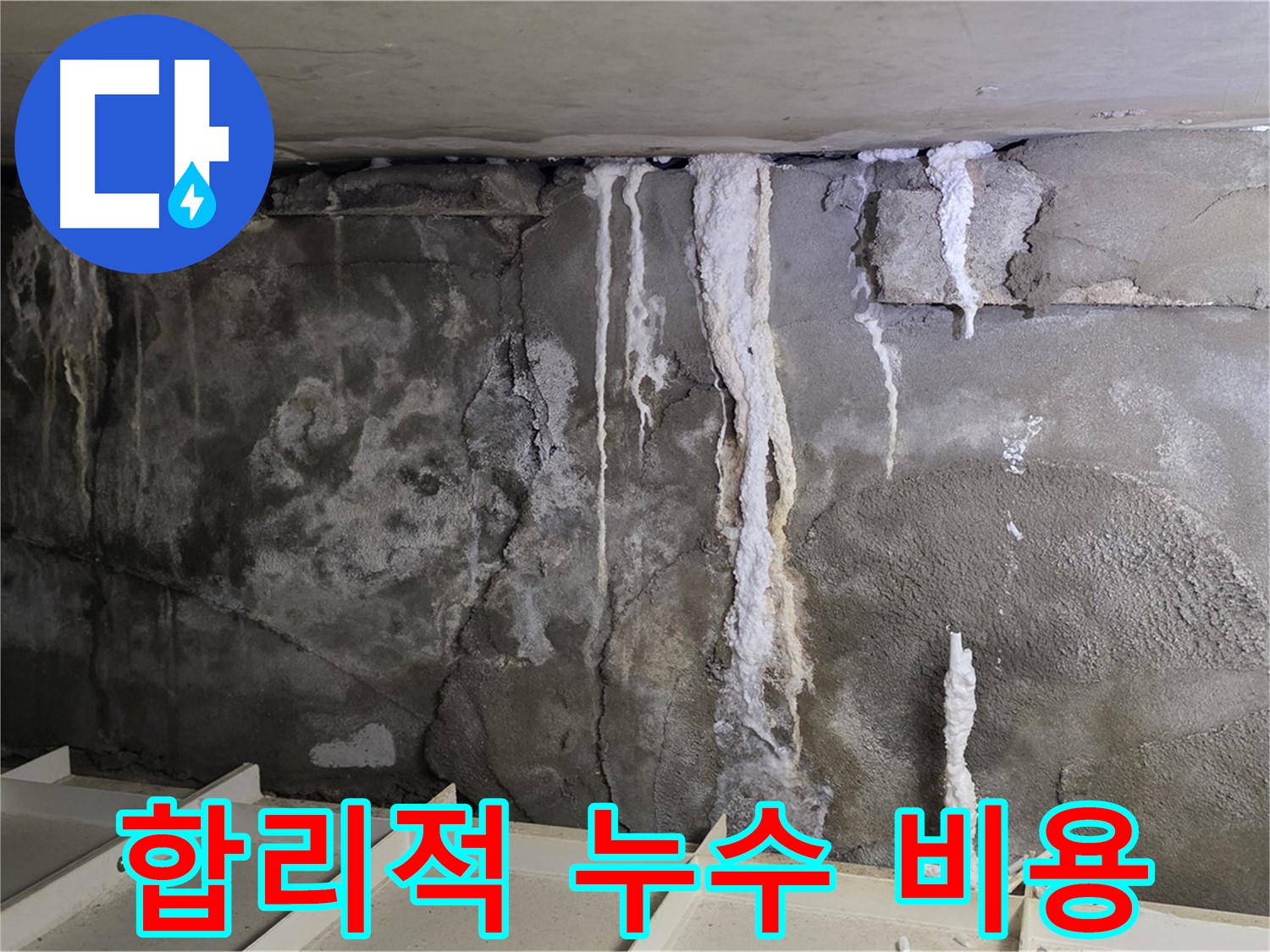 분당 운중동 건물 누수 - 합리적 비용, 확실 해결!
